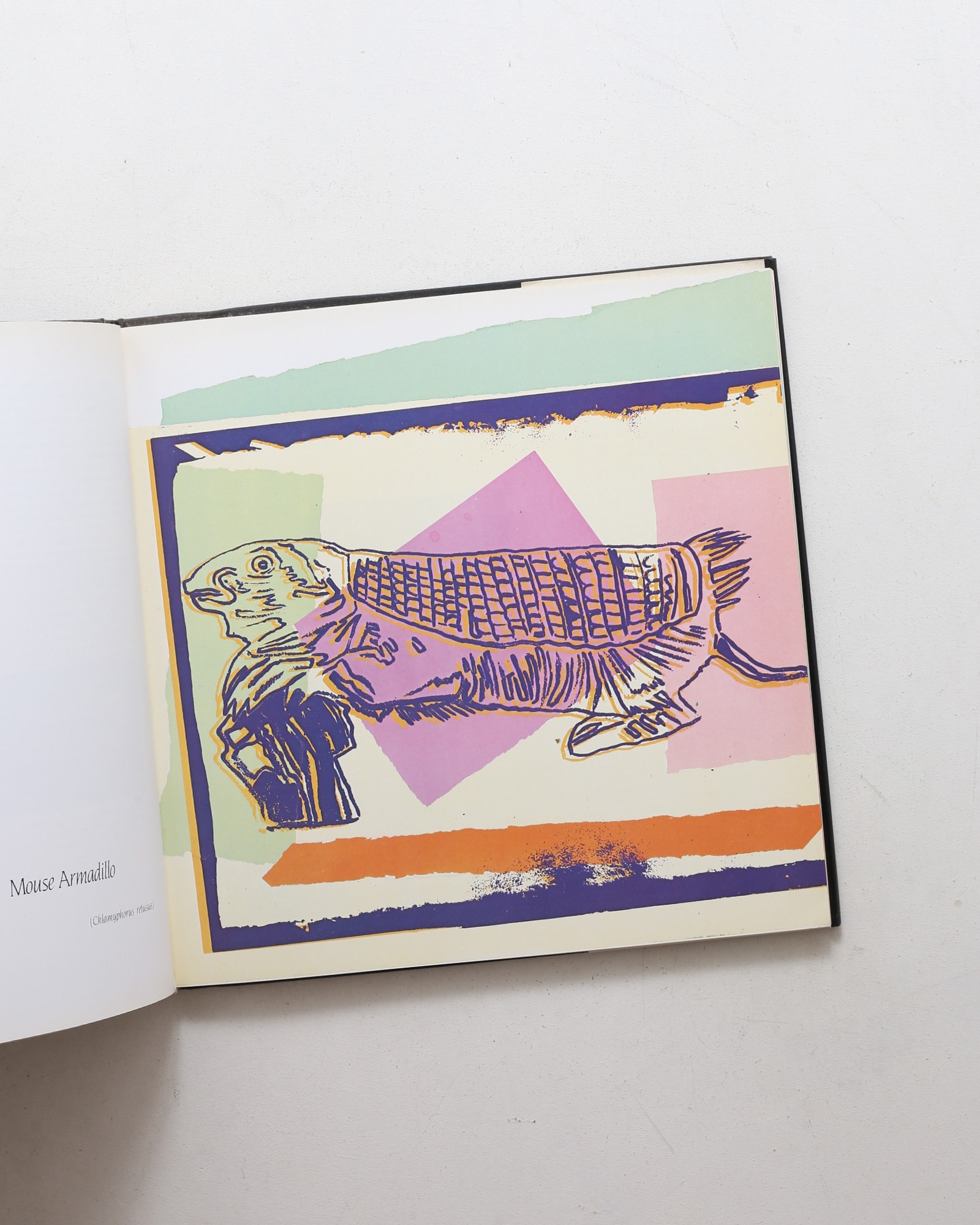 Vanishing Animals | Andy Warhol、Kurt Benirschke