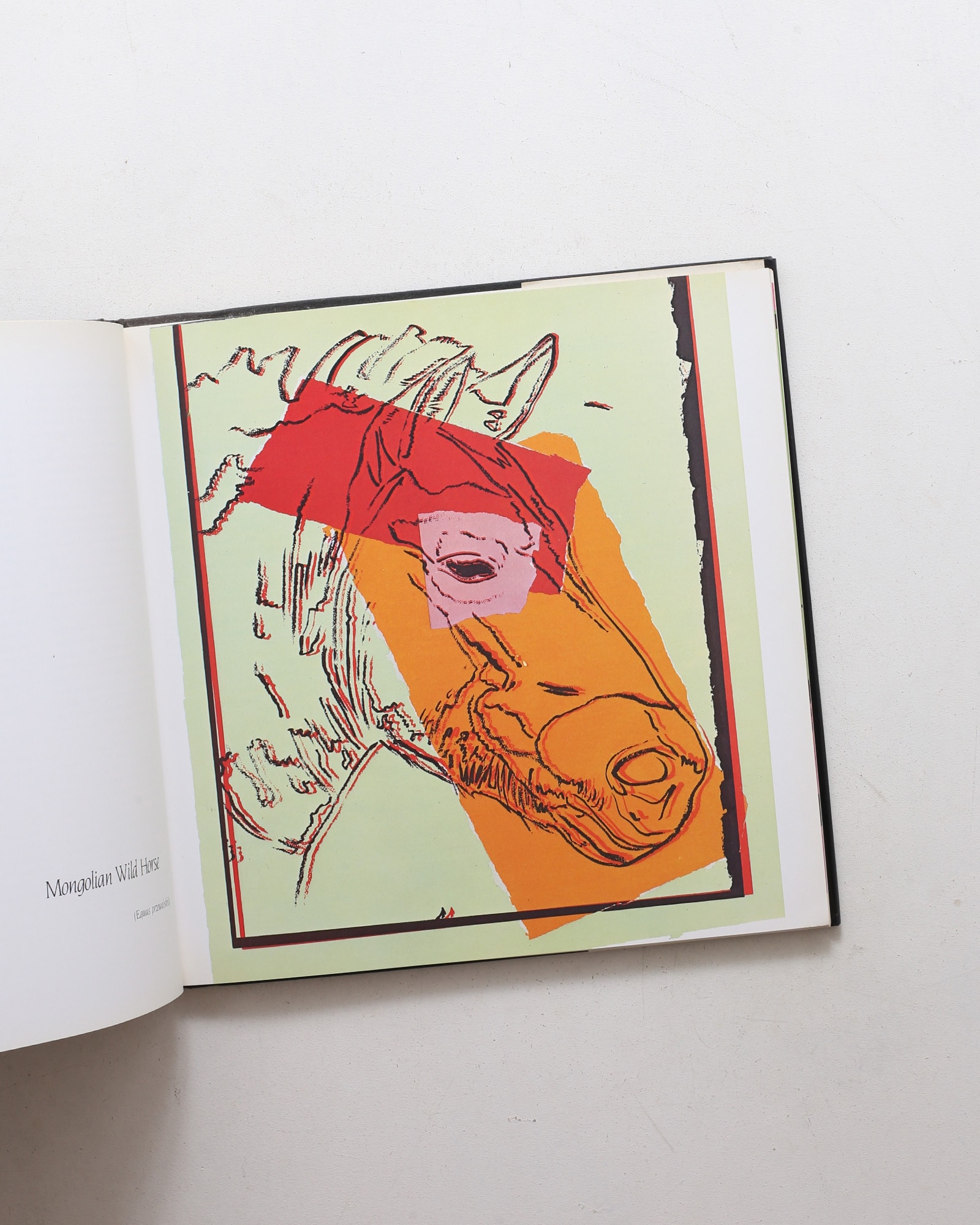 Vanishing Animals | Andy Warhol、Kurt Benirschke