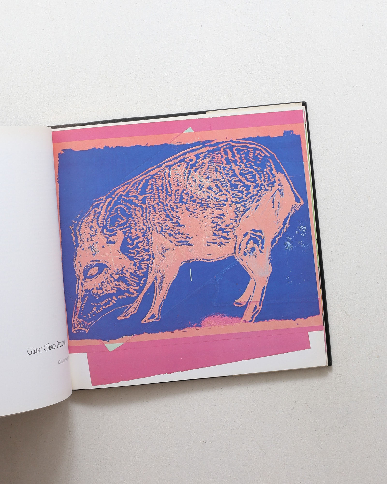 Vanishing Animals | Andy Warhol、Kurt Benirschke
