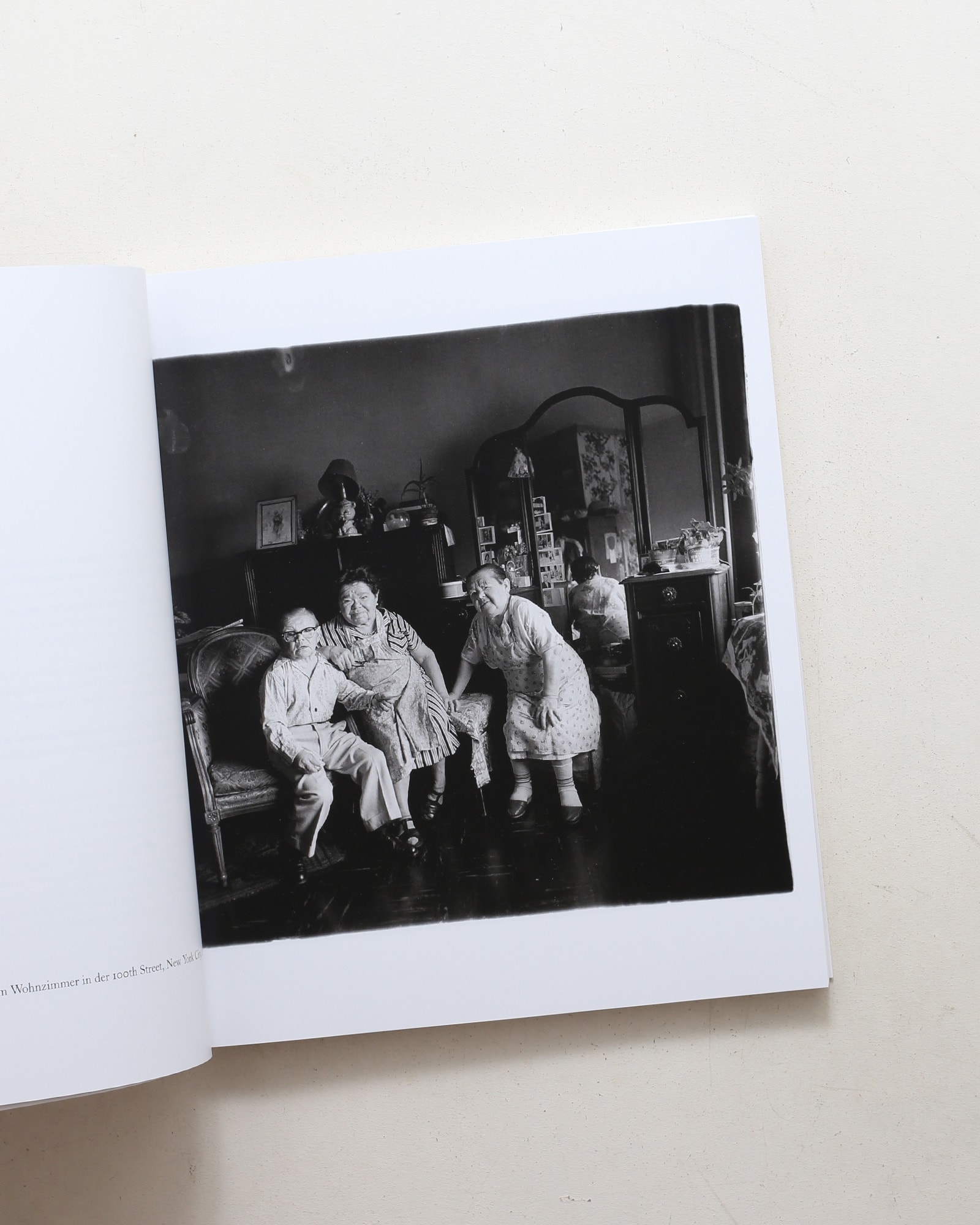 Diane Arbus: Die kleine Monographie