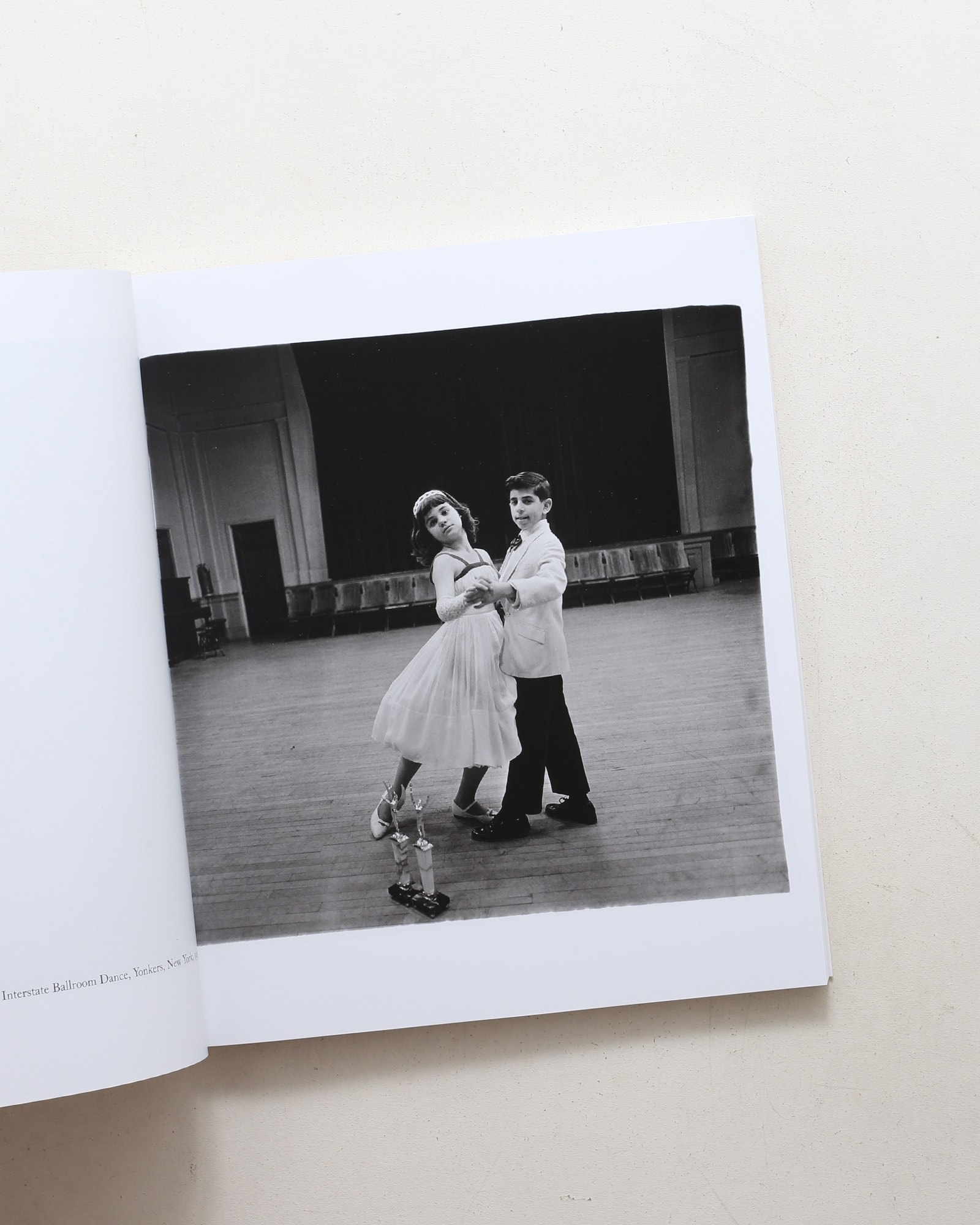 Diane Arbus: Die kleine Monographie