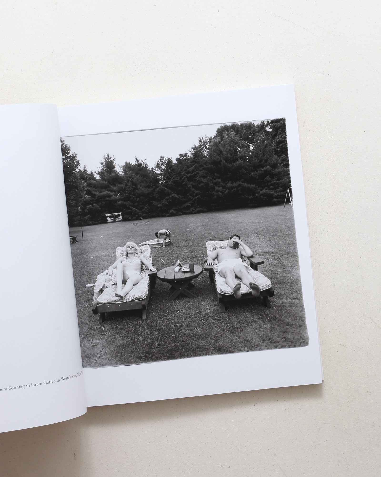 Diane Arbus: Die kleine Monographie