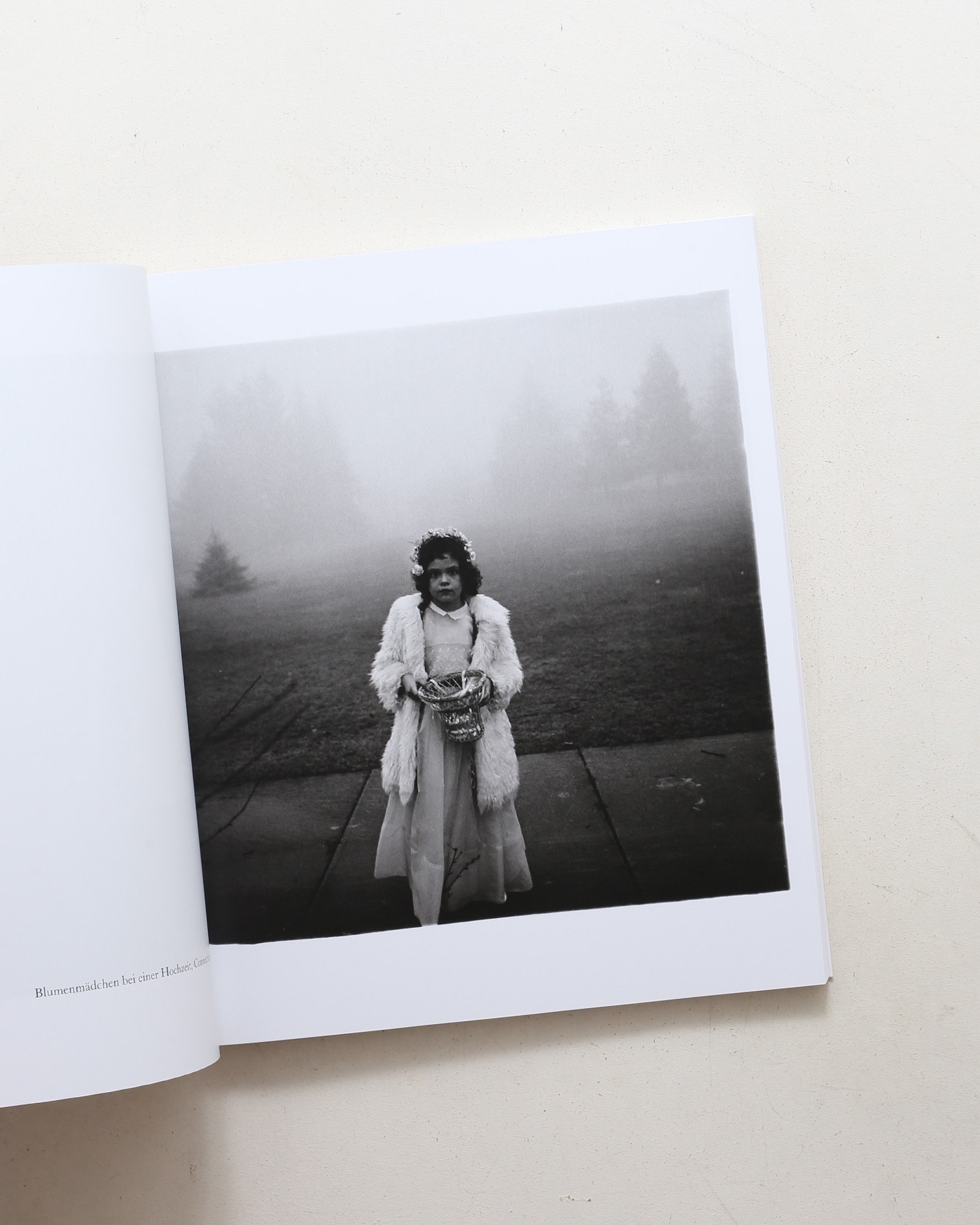 Diane Arbus: Die kleine Monographie