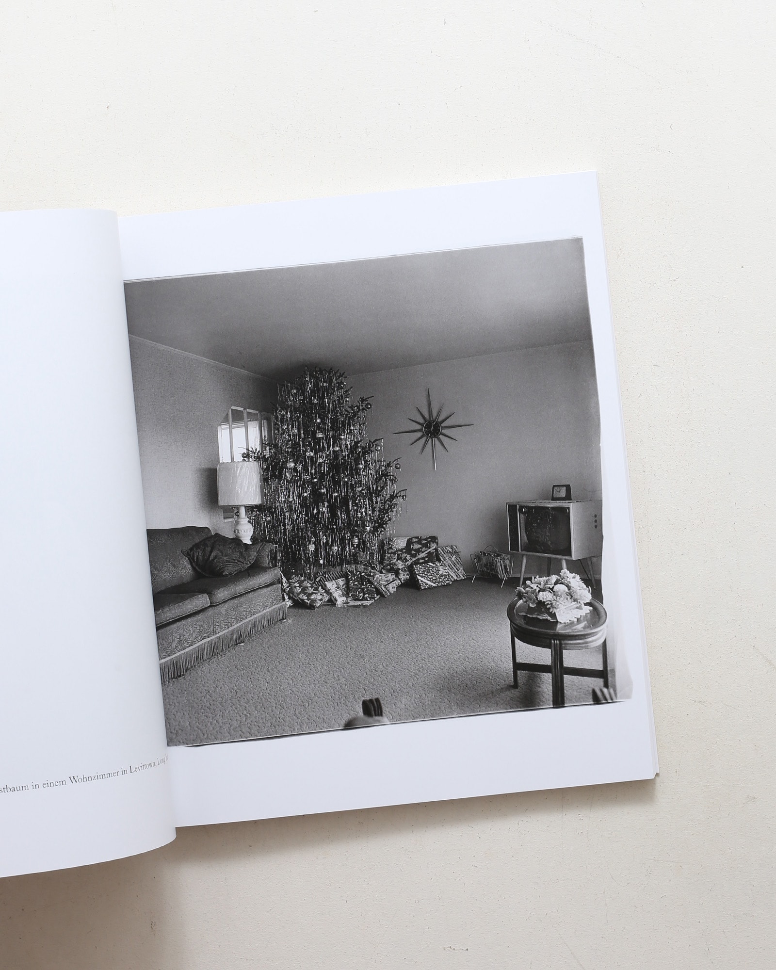 Diane Arbus: Die kleine Monographie