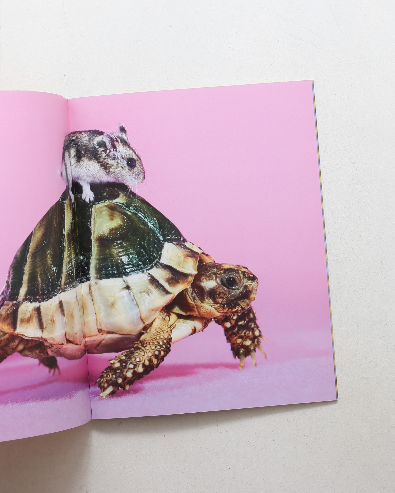 Toiletpaper Magazine 10