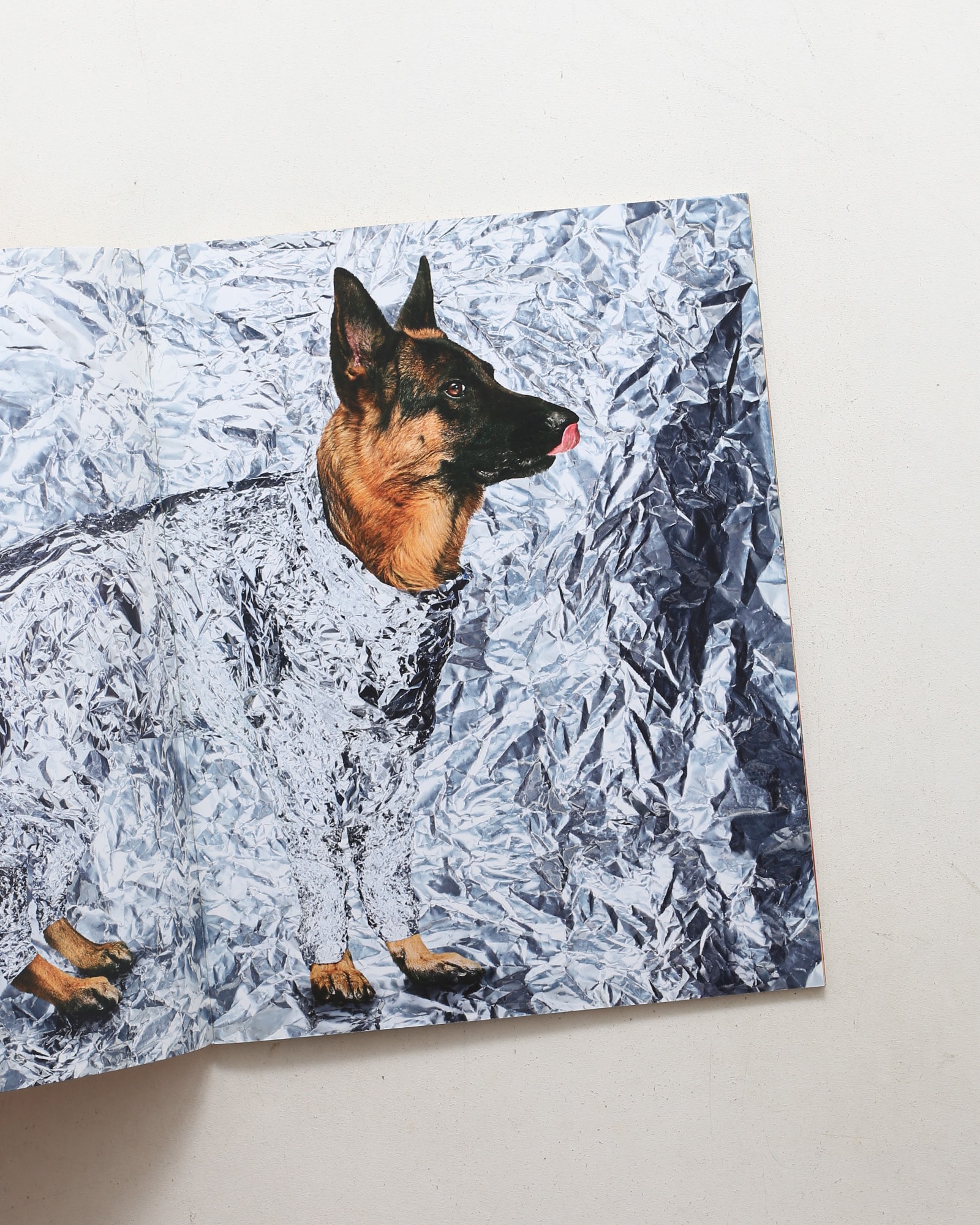 Toiletpaper Magazine 11