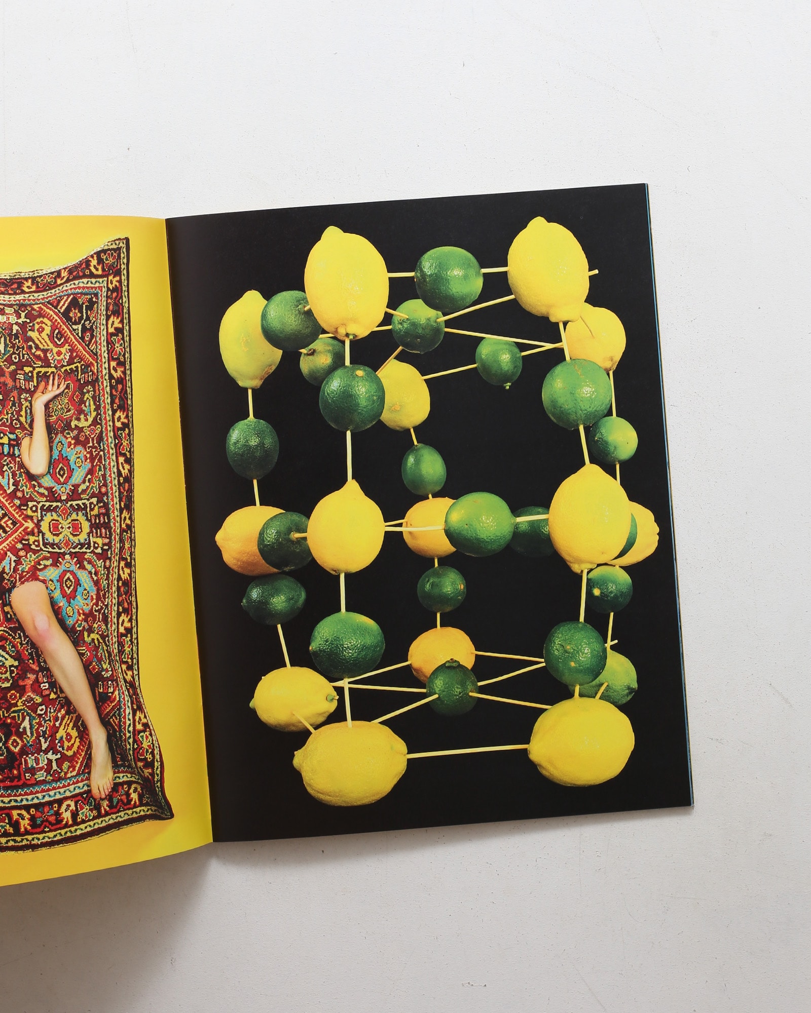 Toiletpaper Magazine 14