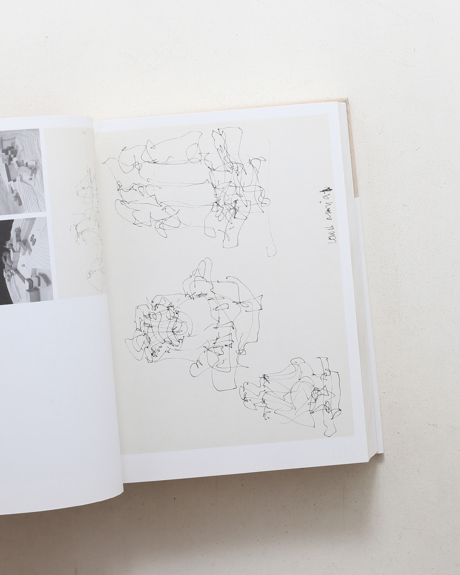 Gehry Draws | Horst Bredekakmp