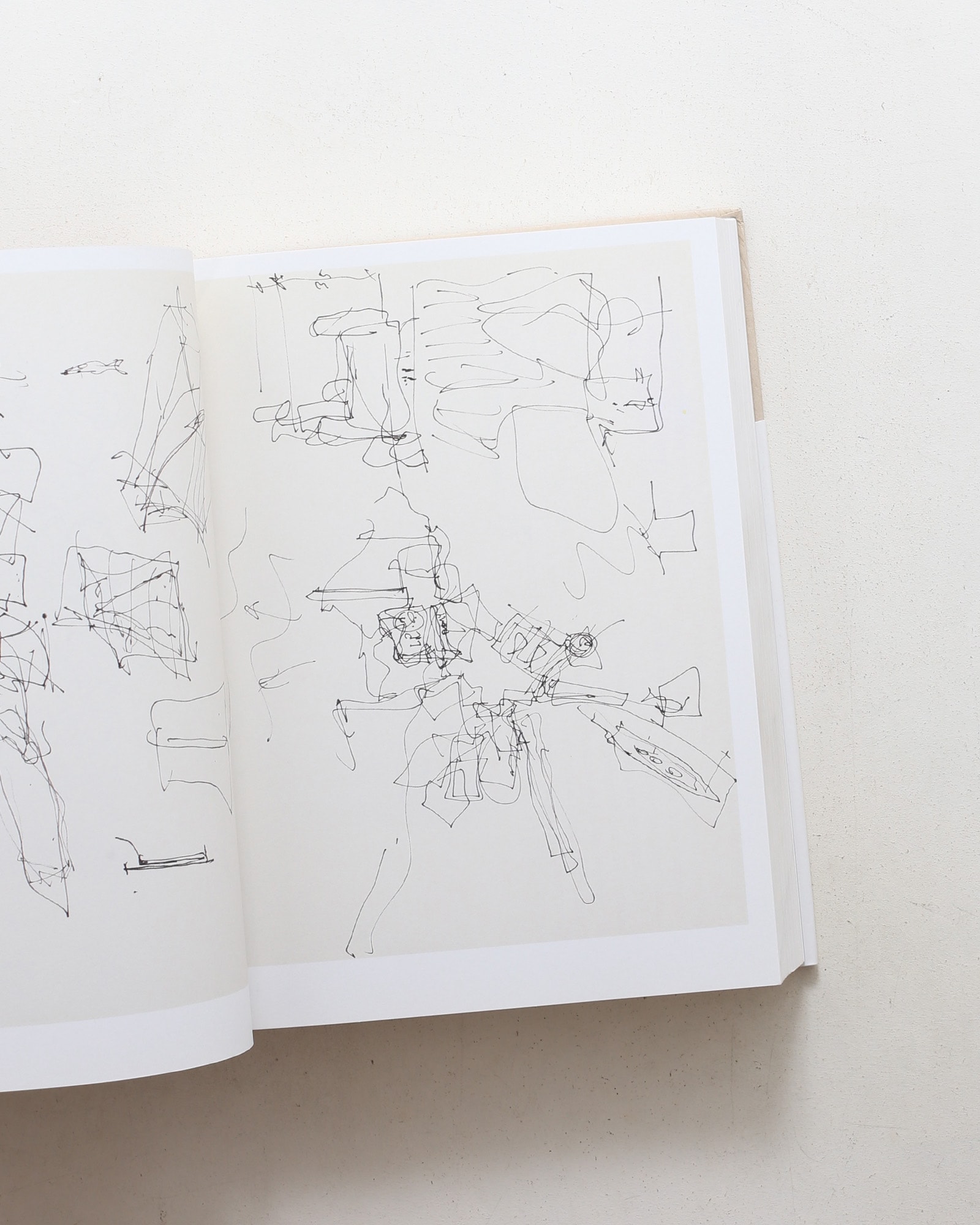 Gehry Draws | Horst Bredekakmp