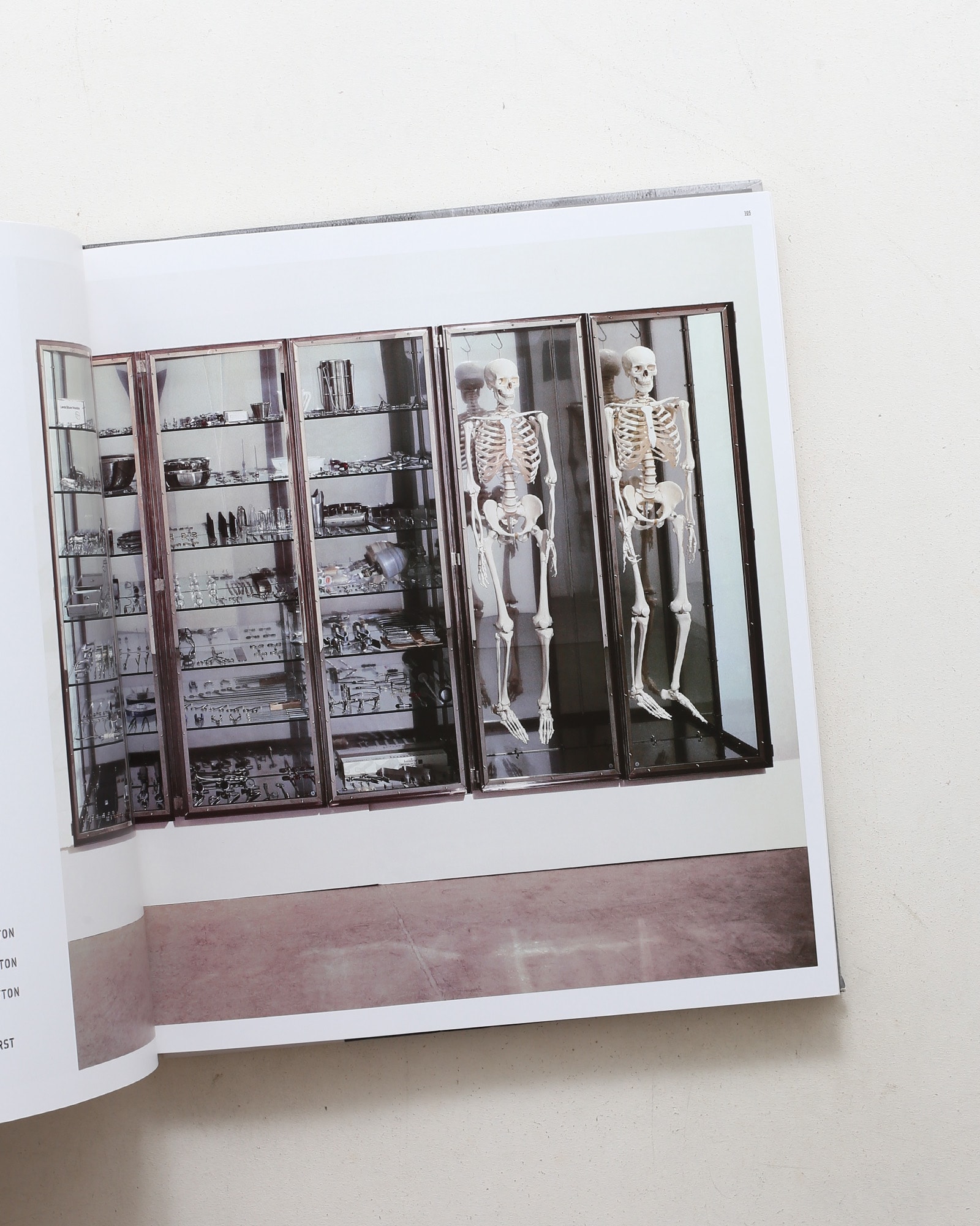 Not Afraid: Rubell Family Collection