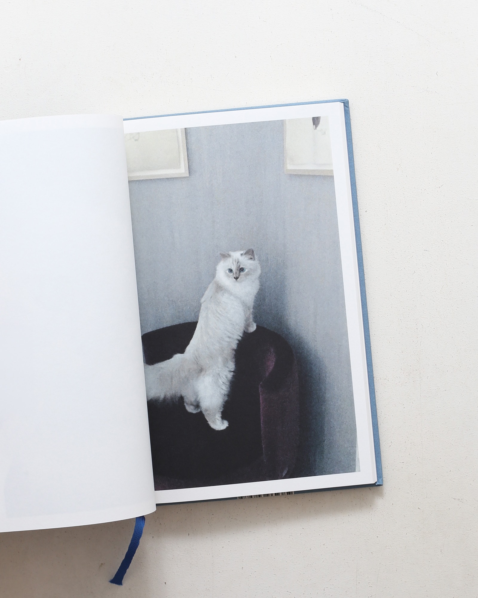 Choupette | Karl Lagerfeld