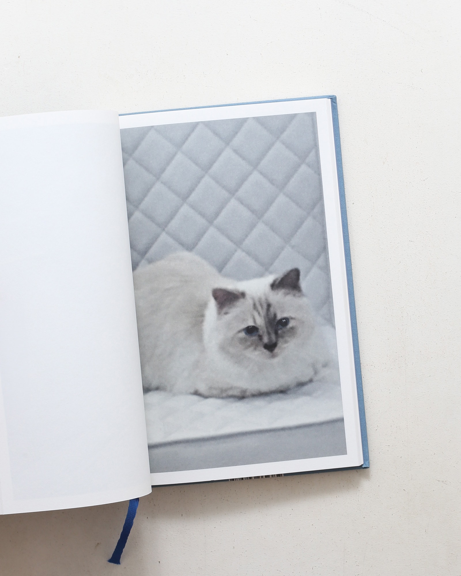 Choupette | Karl Lagerfeld
