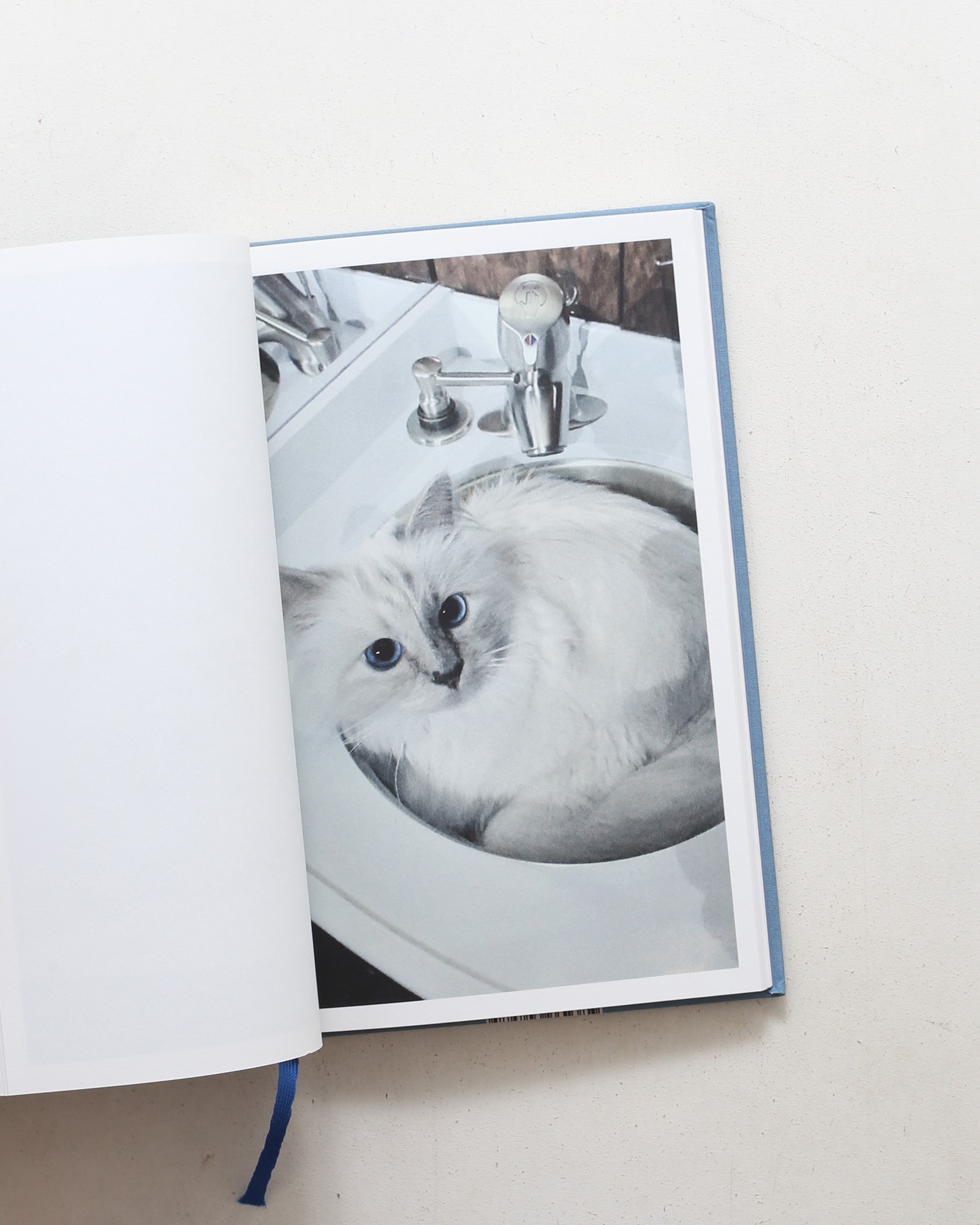 Choupette | Karl Lagerfeld