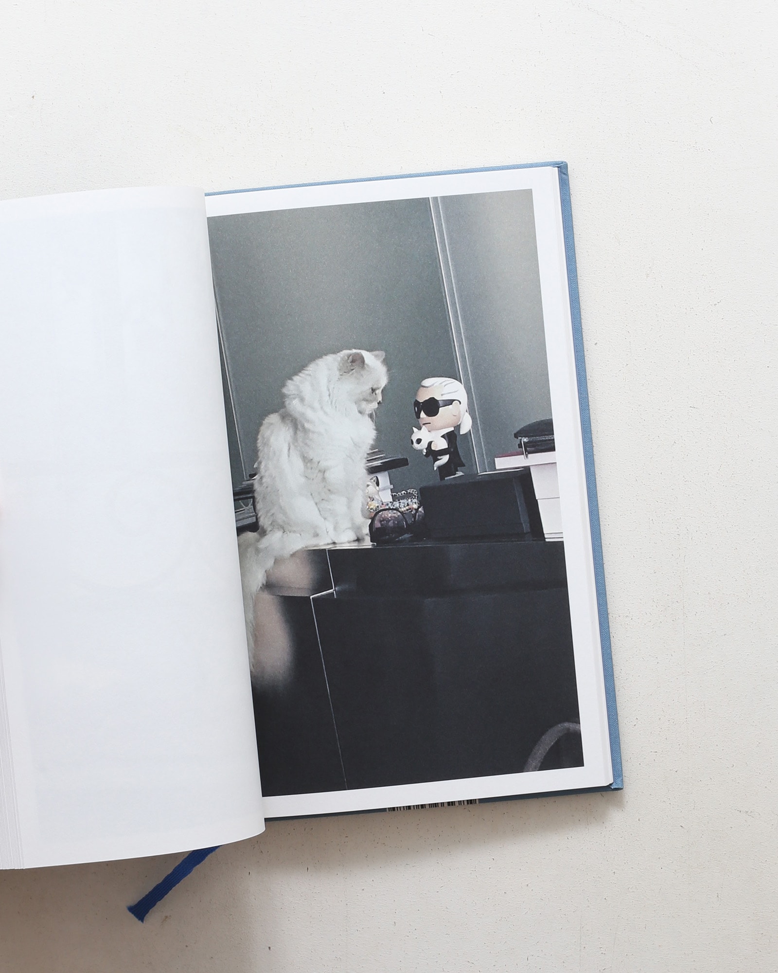 Choupette | Karl Lagerfeld