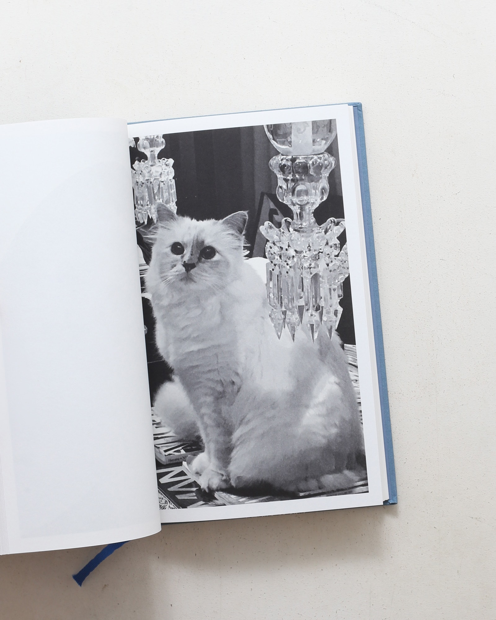 Choupette | Karl Lagerfeld