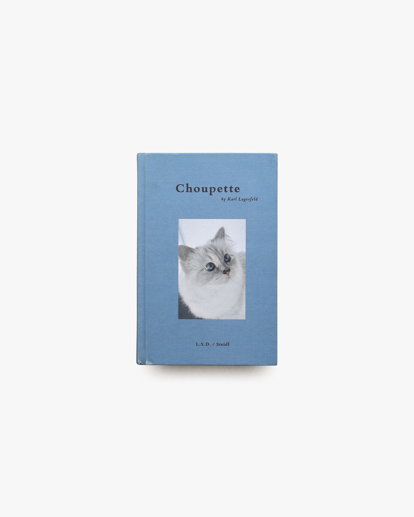 Choupette | Karl Lagerfeld