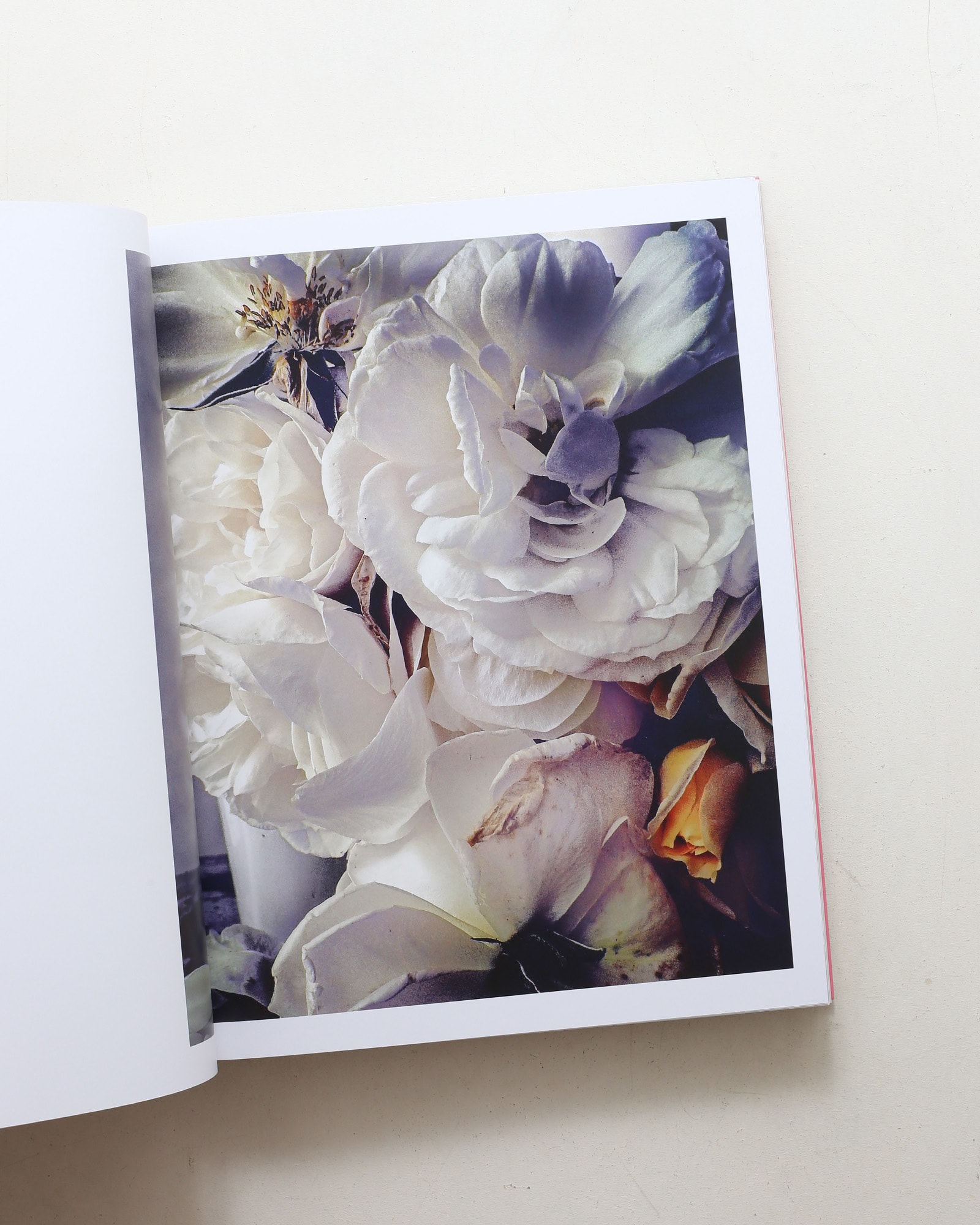 Dior in Bloom: For the Love of Flowers