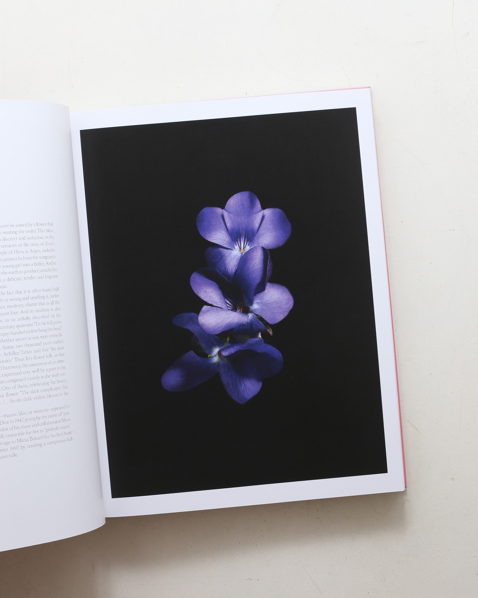 Dior in Bloom: For the Love of Flowers