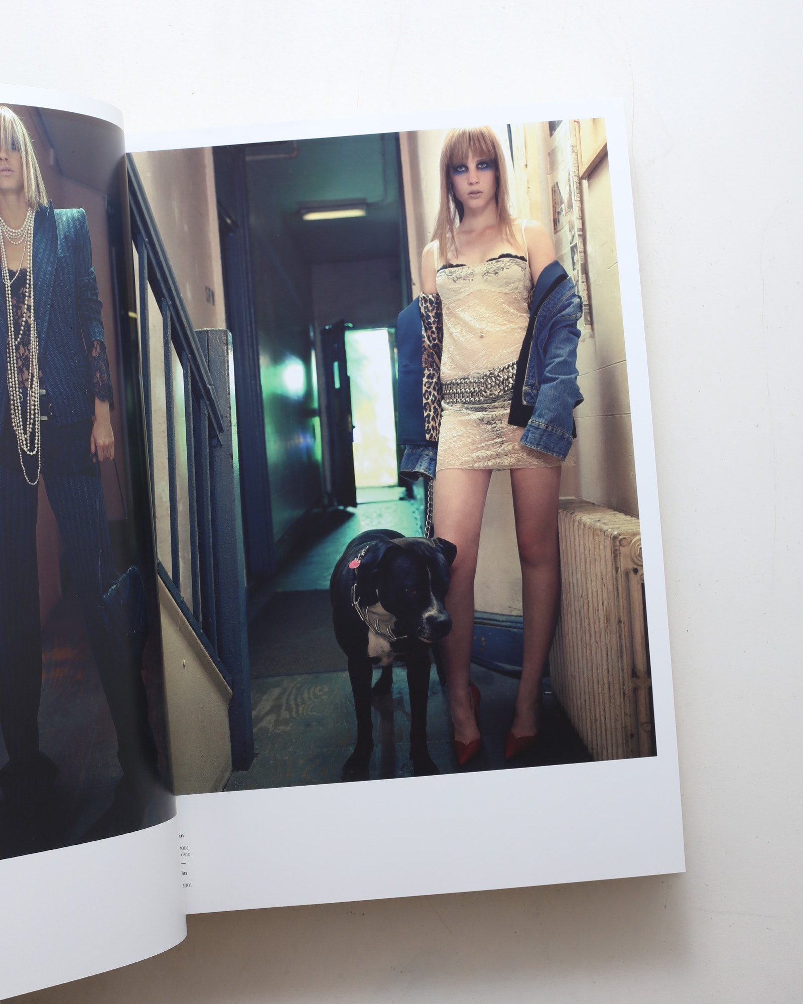 Dolce & Gabbana: Fashion Album
