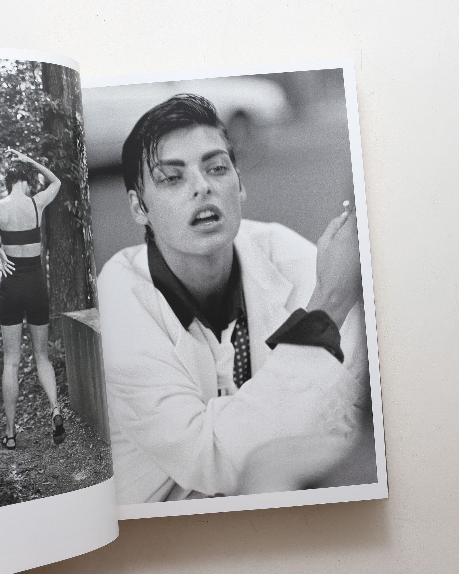 Dolce & Gabbana: Fashion Album
