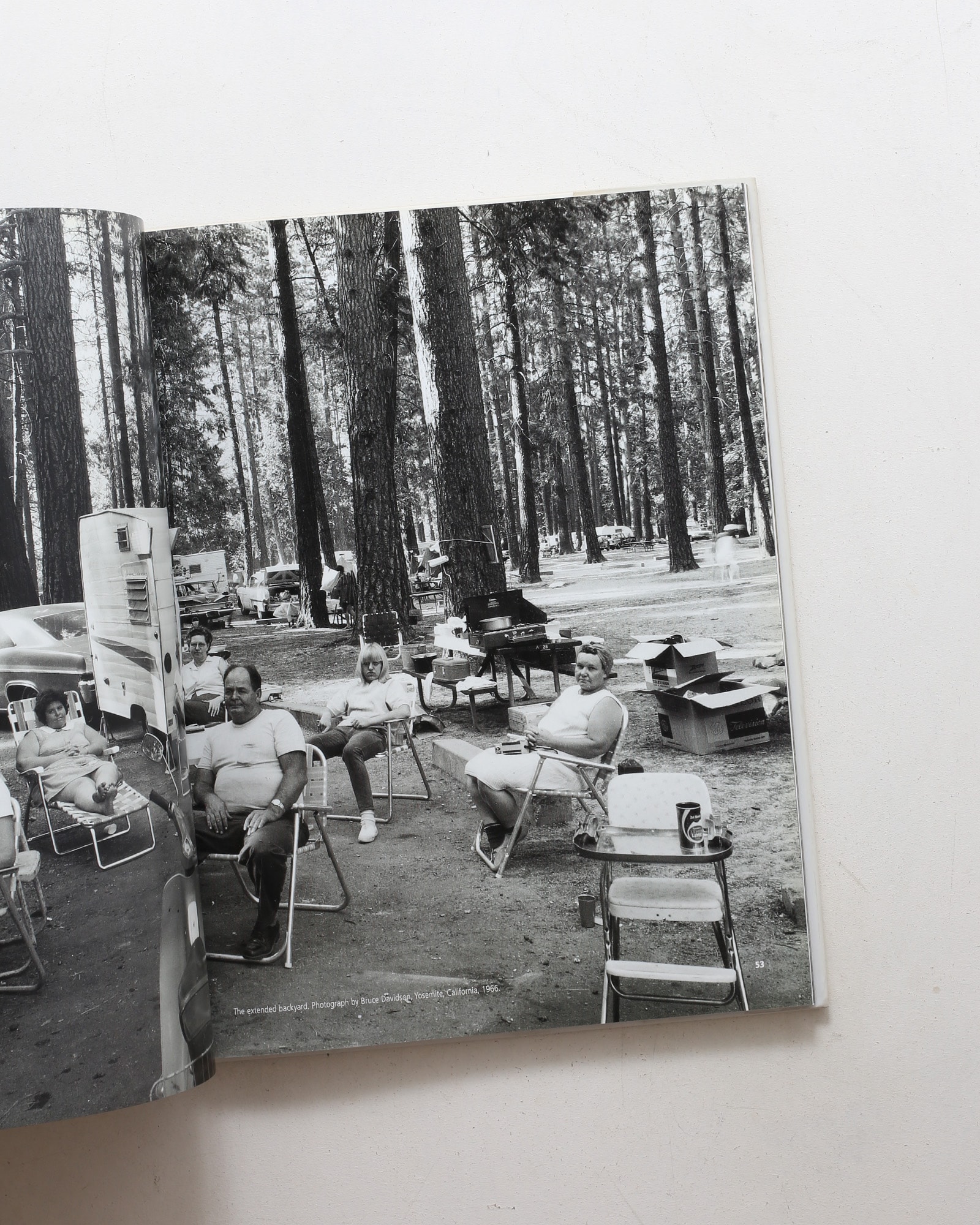The White T | Alice Harris