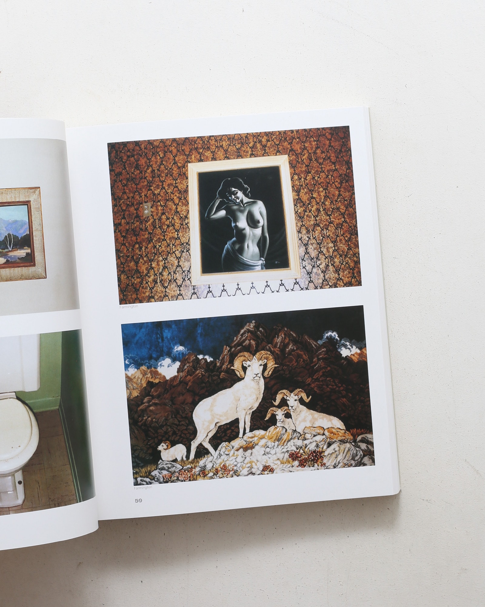 Stephen Shore: American Surfaces