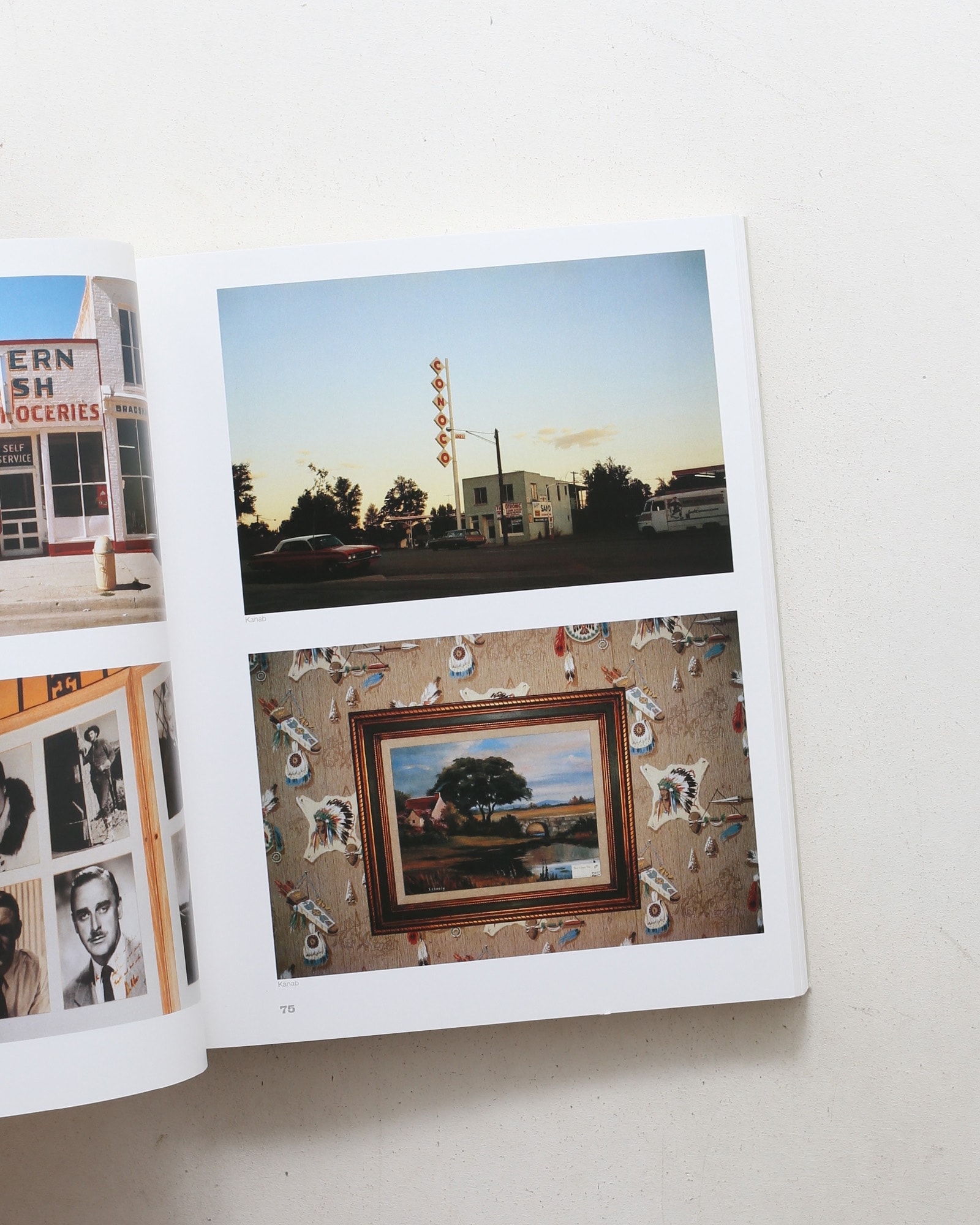 Stephen Shore: American Surfaces