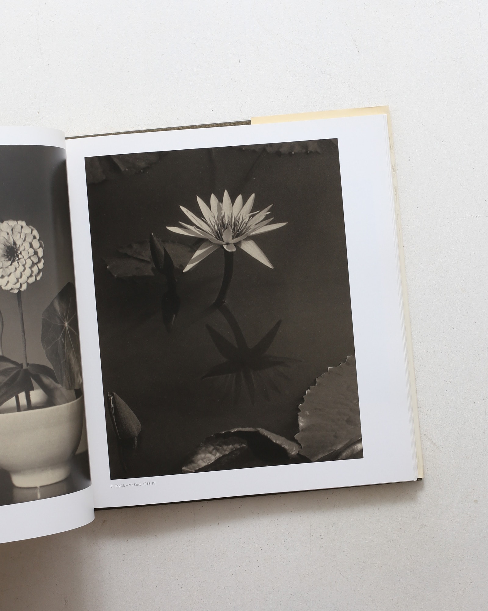 Charles Sheeler: The Photographs