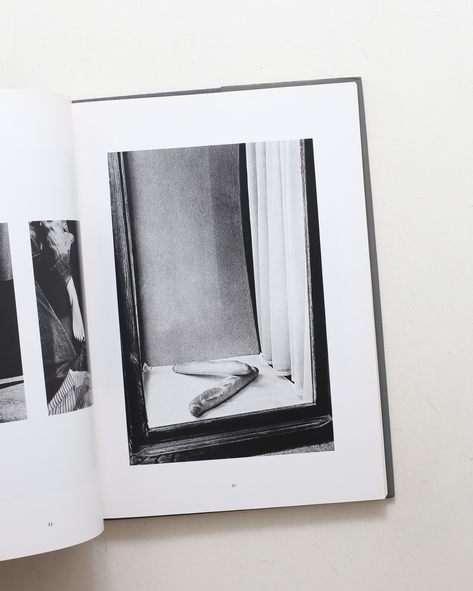 Tropism | Ralph Gibson