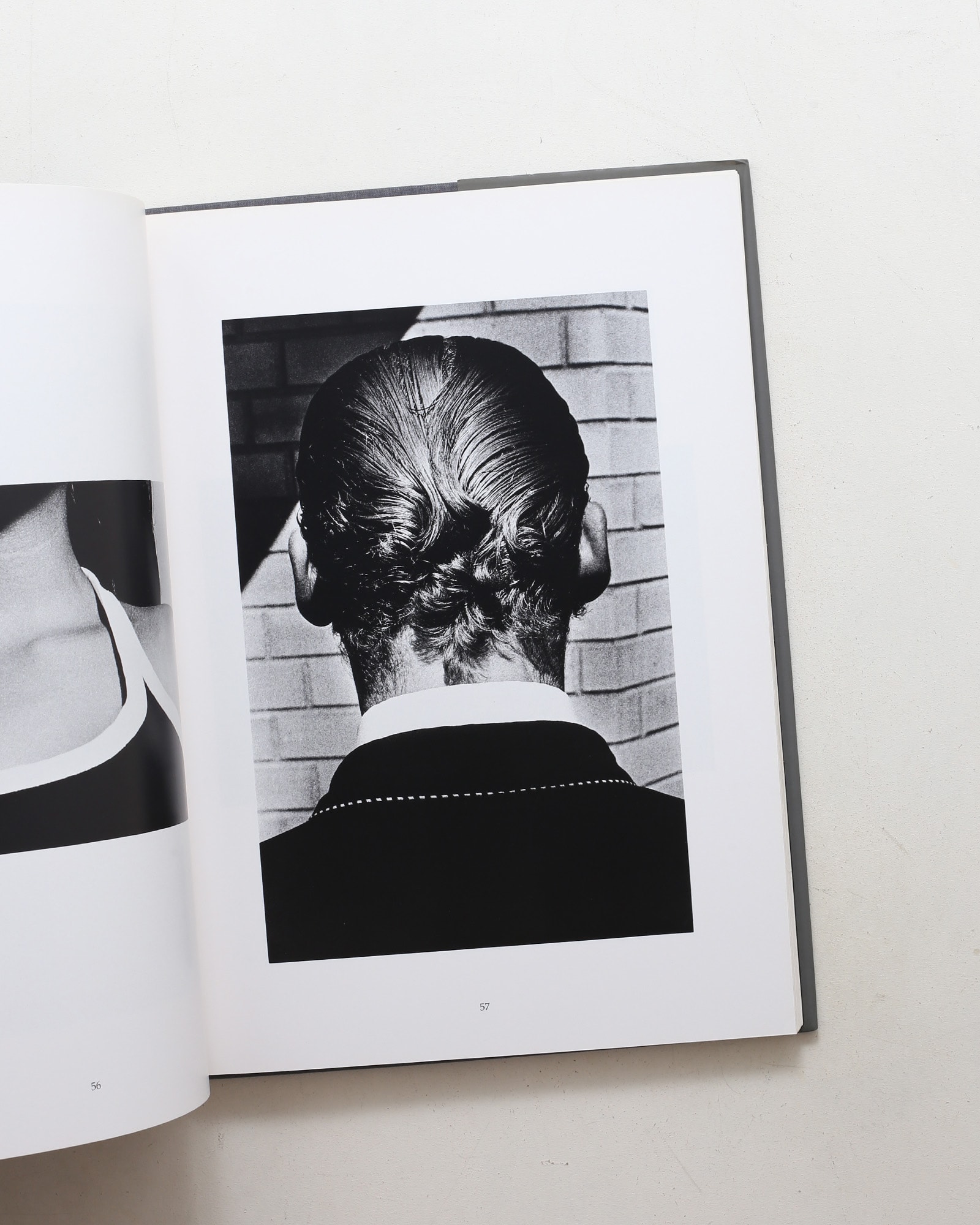 Tropism | Ralph Gibson