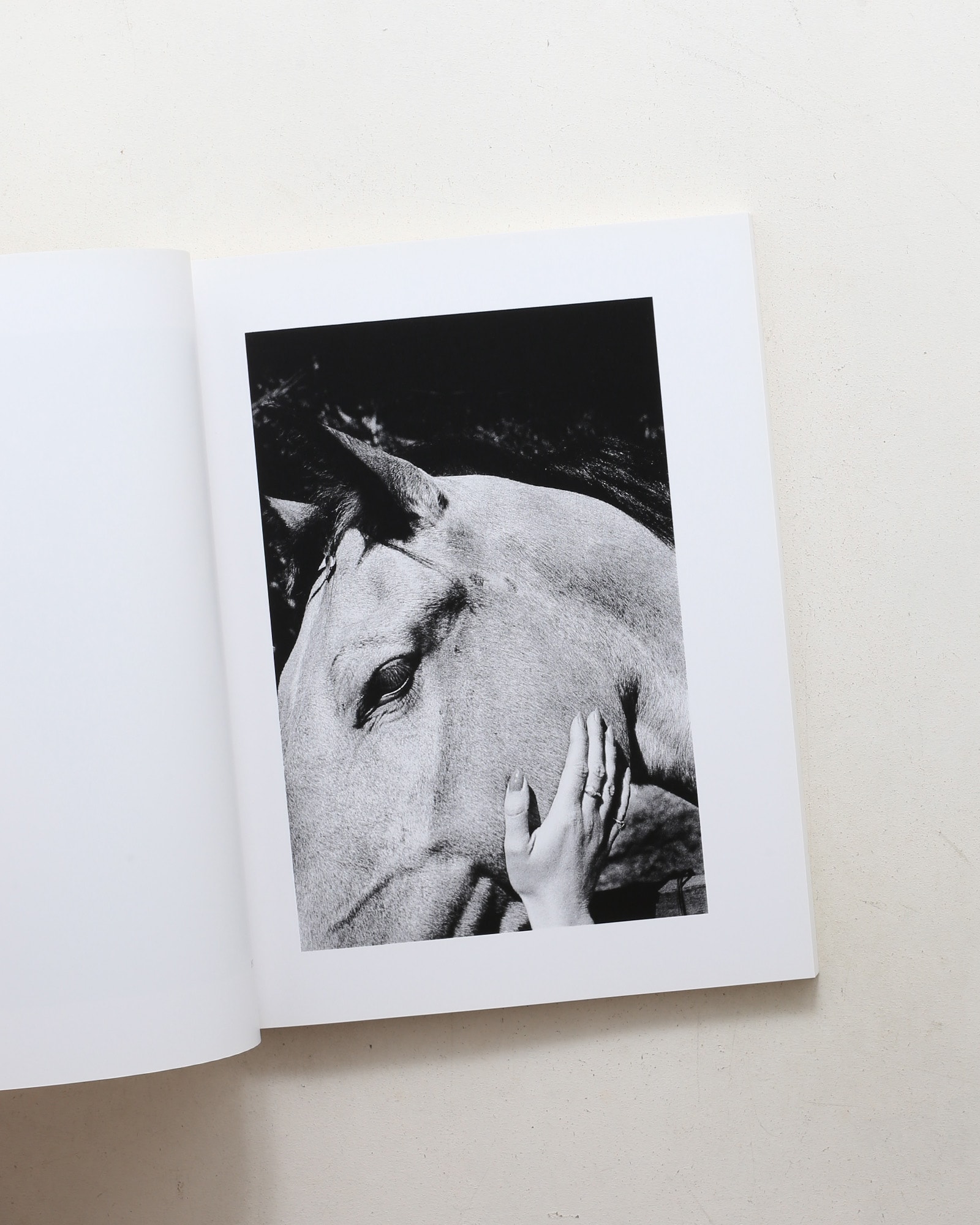 Ralph Gibson | ラルフ・ギブソン | nostos books ノストスブックス