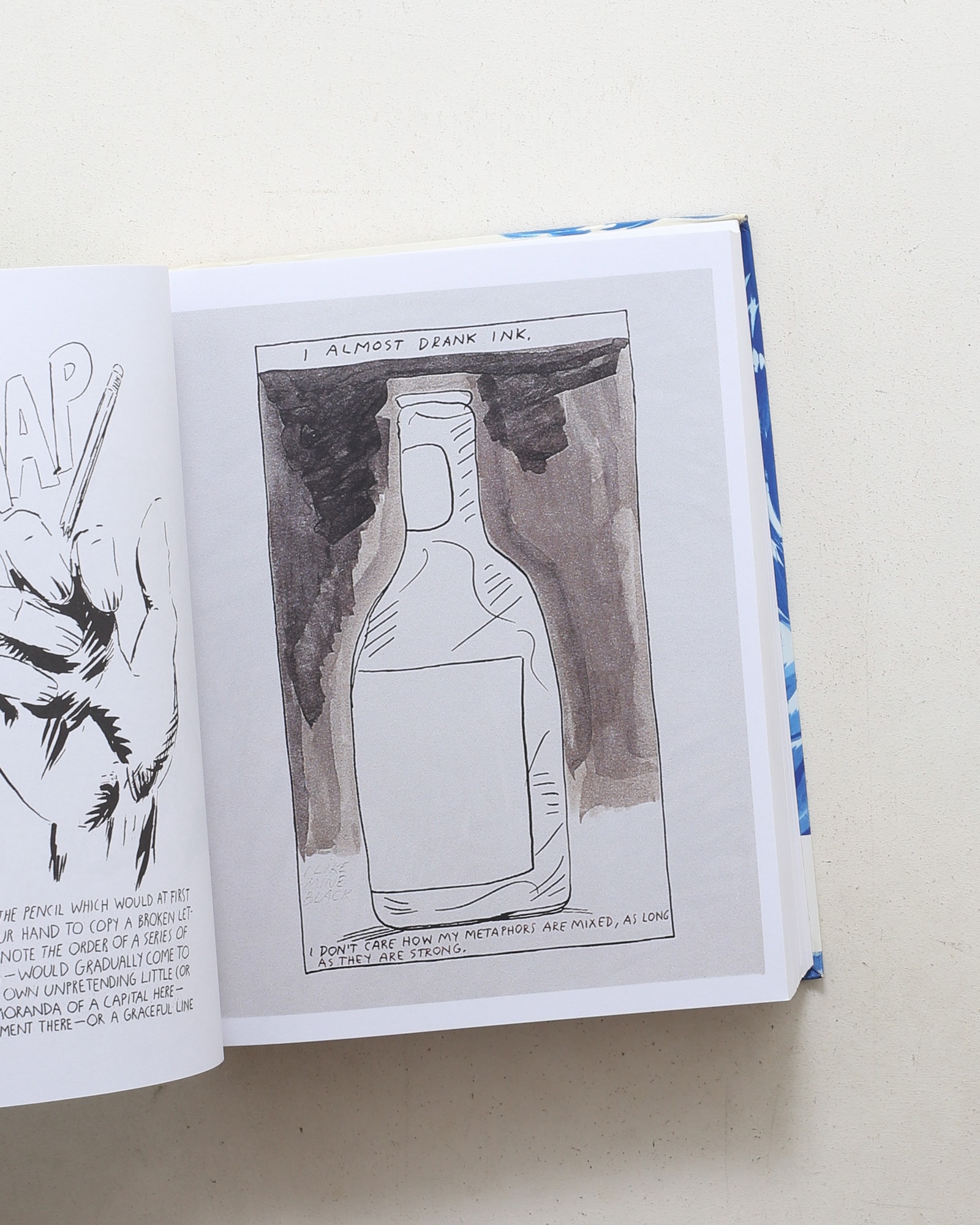 Raymond Pettibon: Plots Laid Thick