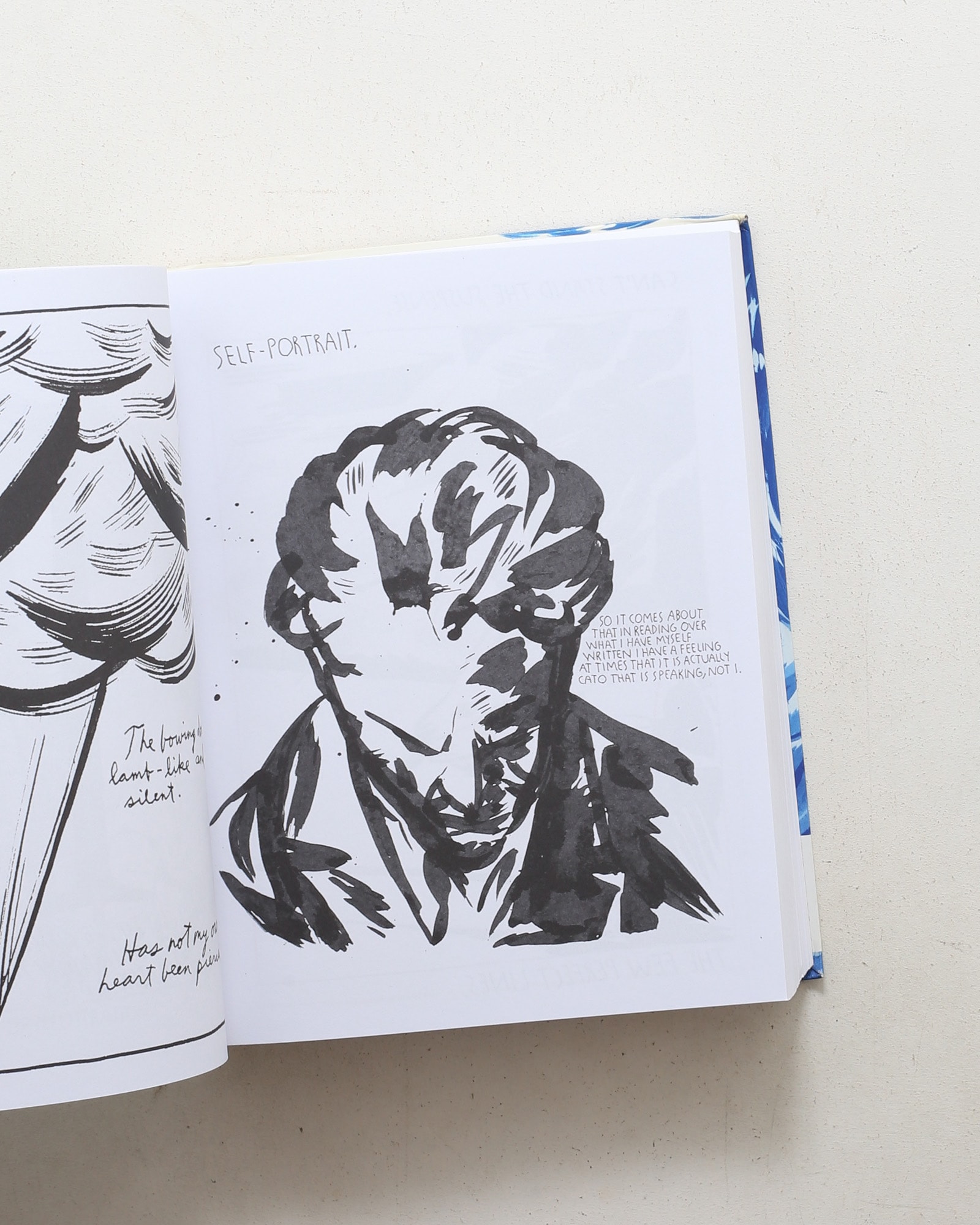 Raymond Pettibon: Plots Laid Thick