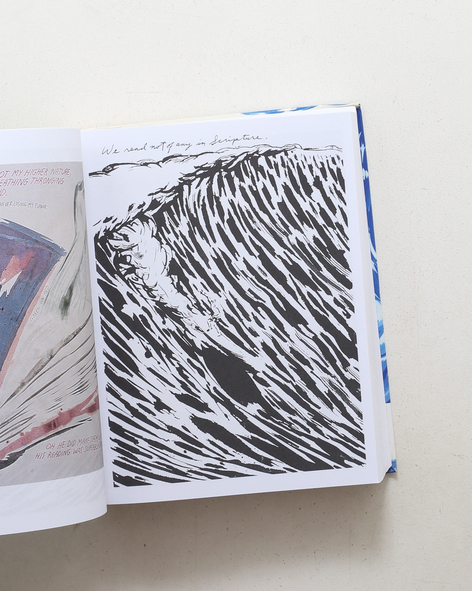 Raymond Pettibon: Plots Laid Thick