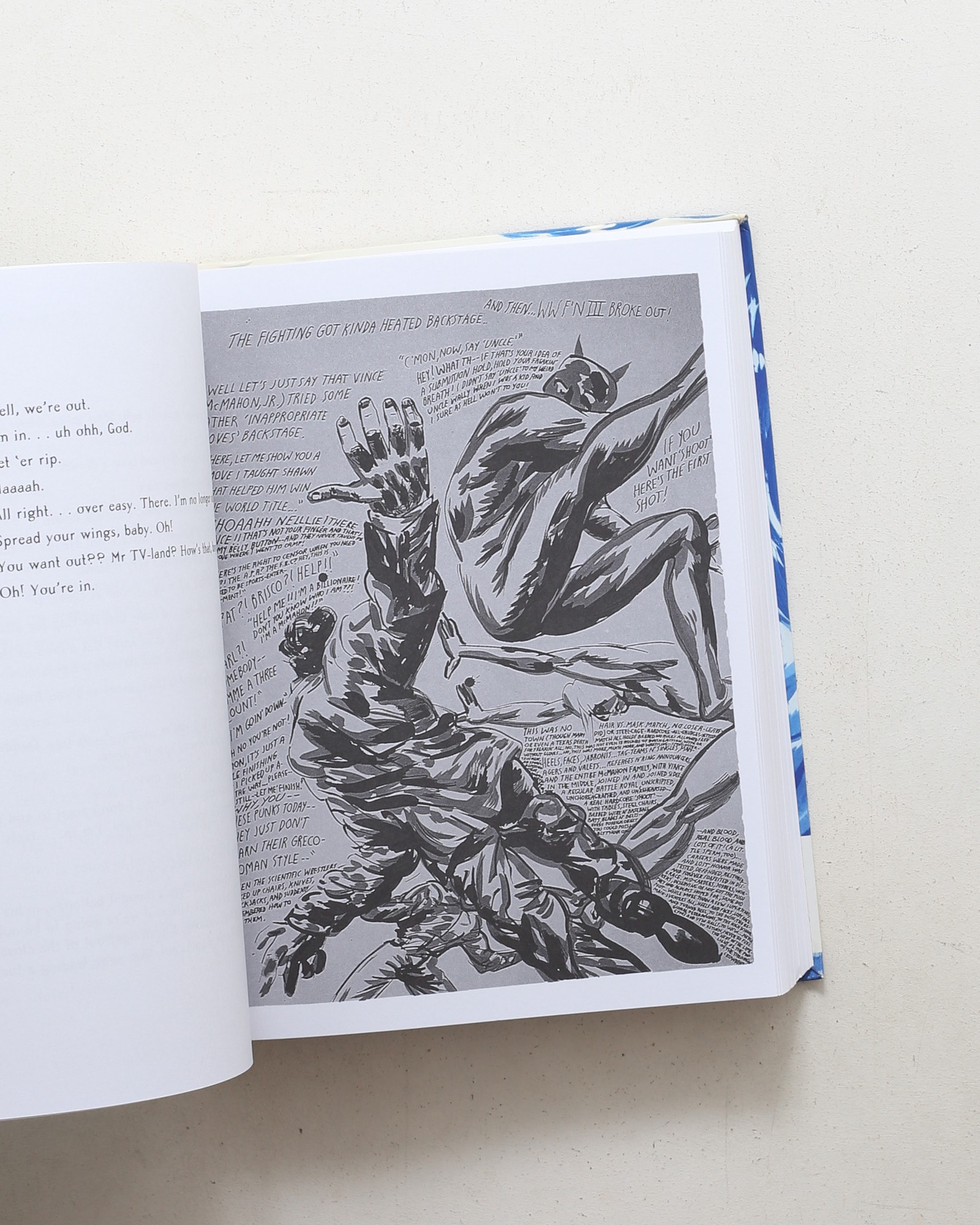 Raymond Pettibon: Plots Laid Thick