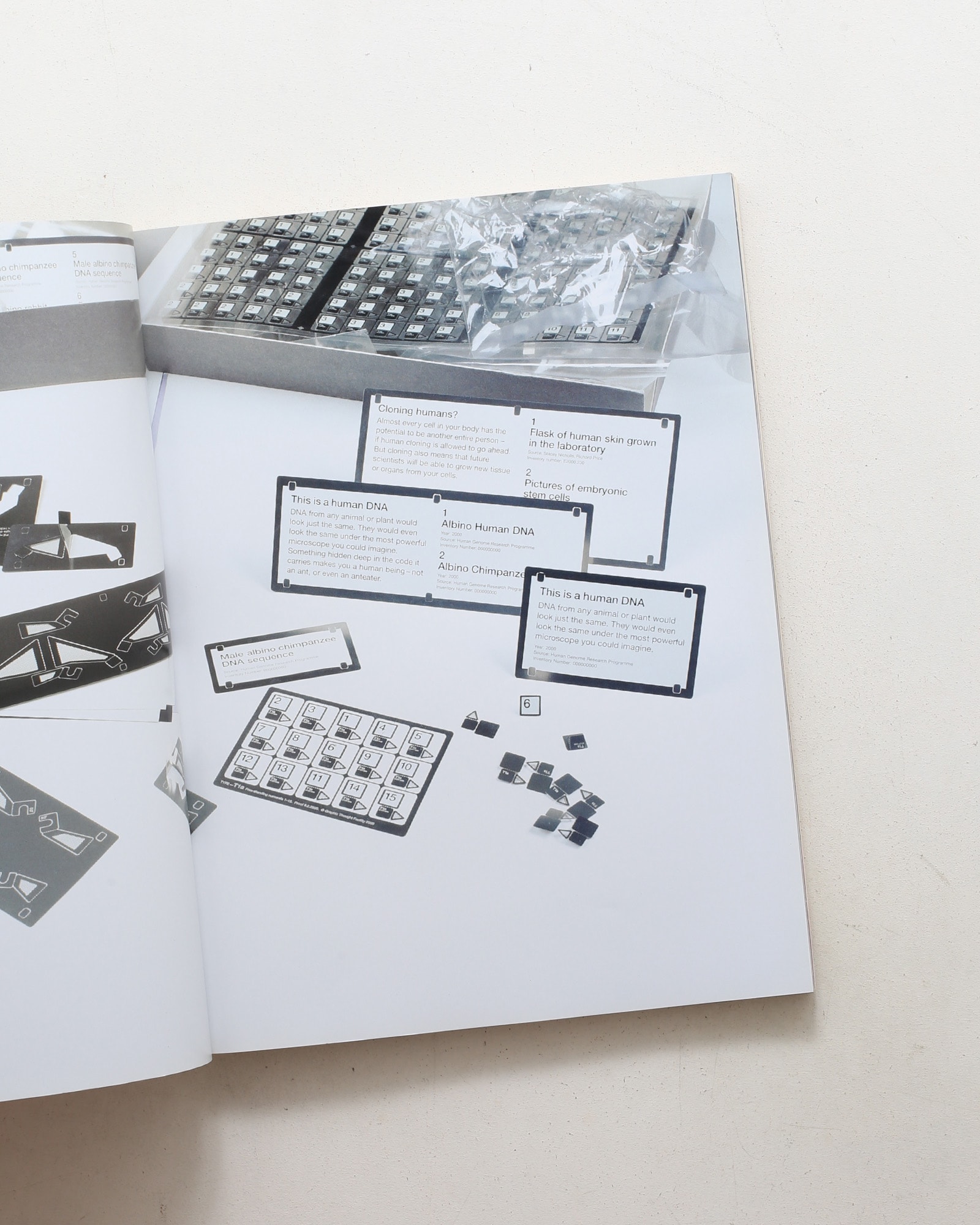 アイデア No.298 GTF／Three Dimensional Projects