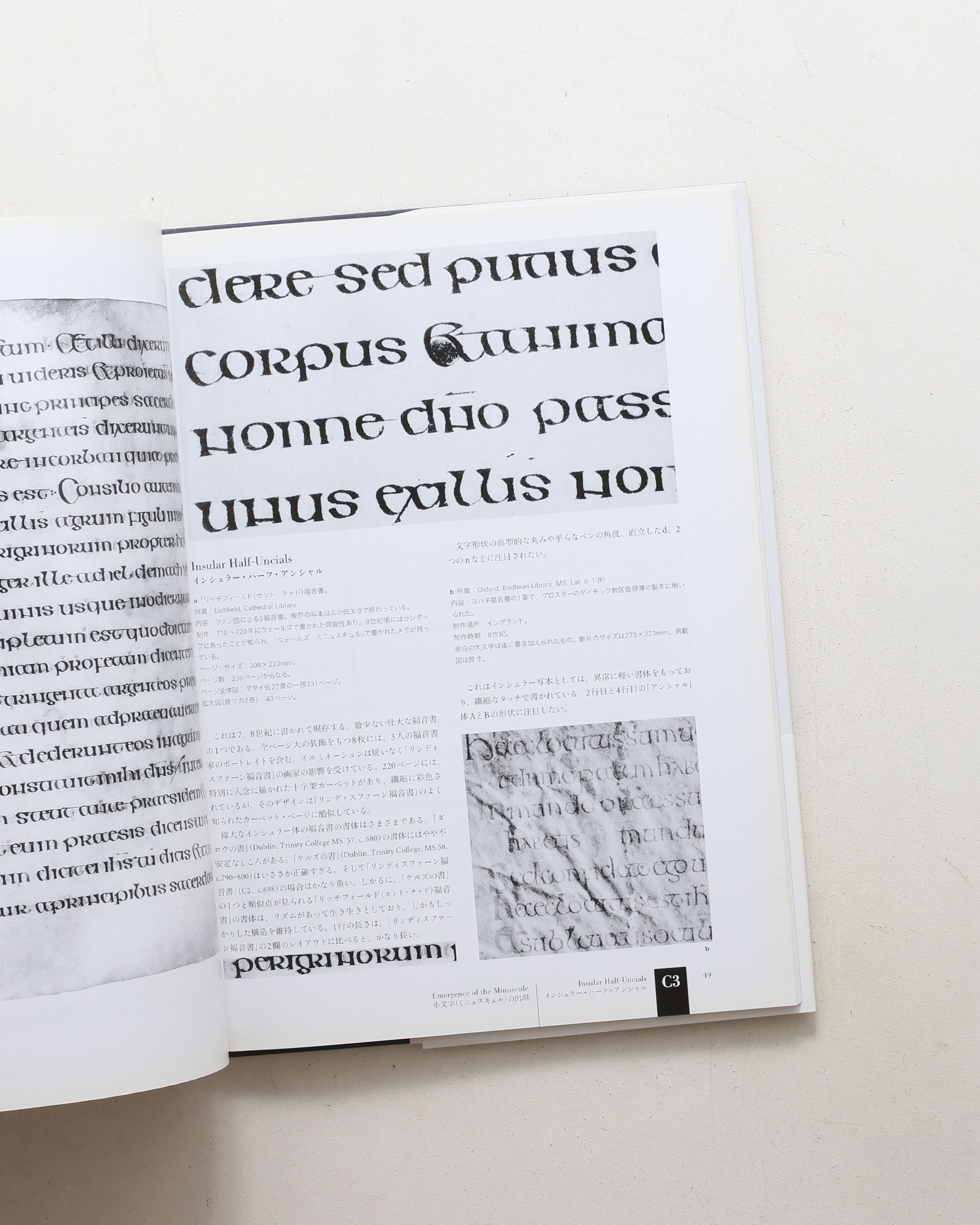 西洋書体の歴史 古典時代からルネサンスへ | スタン・ナイト