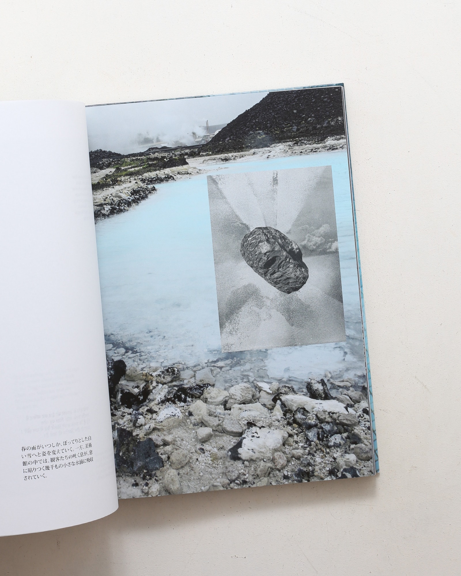 Huber.Huber: Widerspruchliche Bewegungsreize / Contradictory Motion Cues