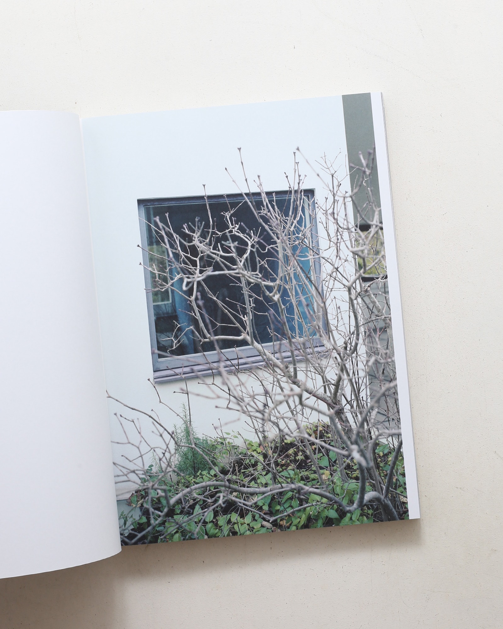 Looking Through: Le Corbusier Windows | Takashi Homma ホンマタカシ