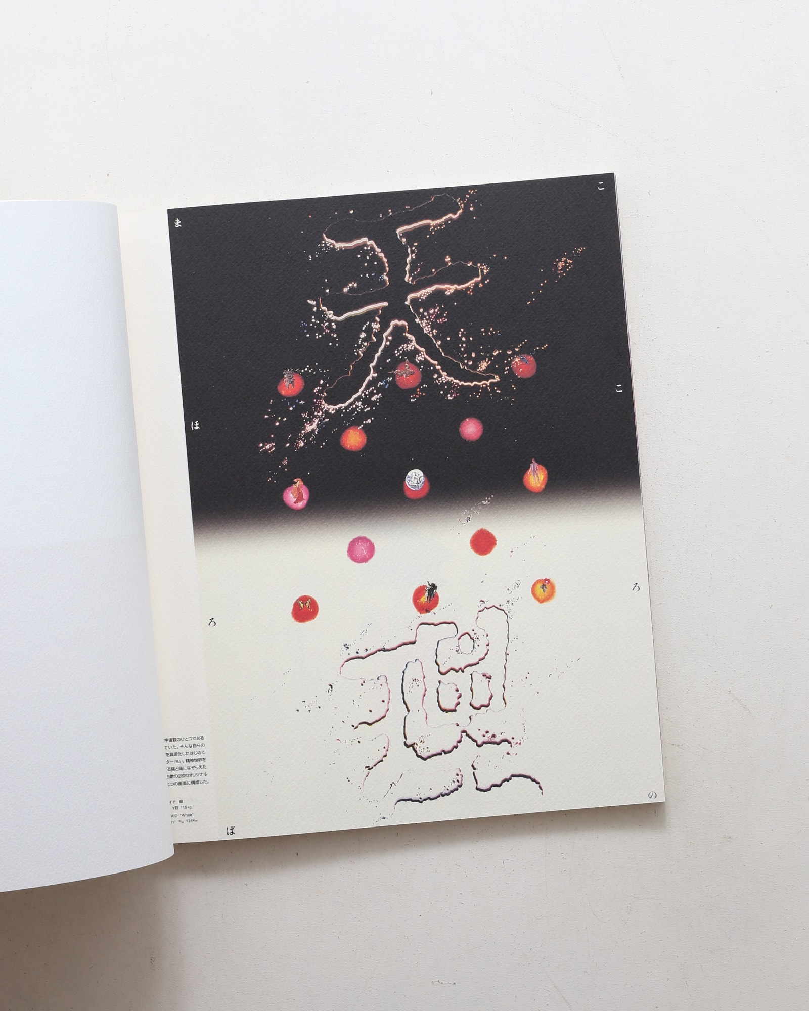 竹尾 Paper ＆ Print Series 10 マーメイド