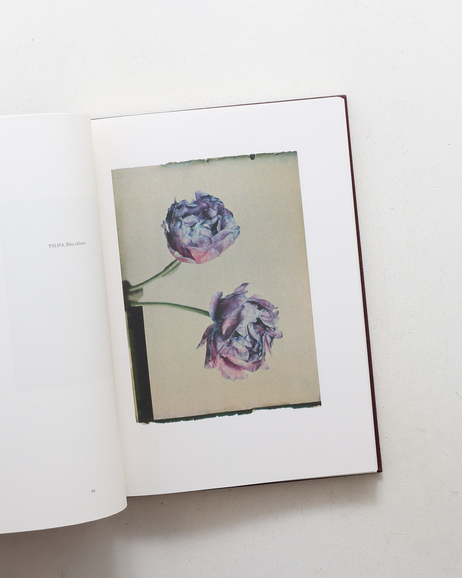 Leendert Blok: Silent Beauties | nostos books ノストスブックス