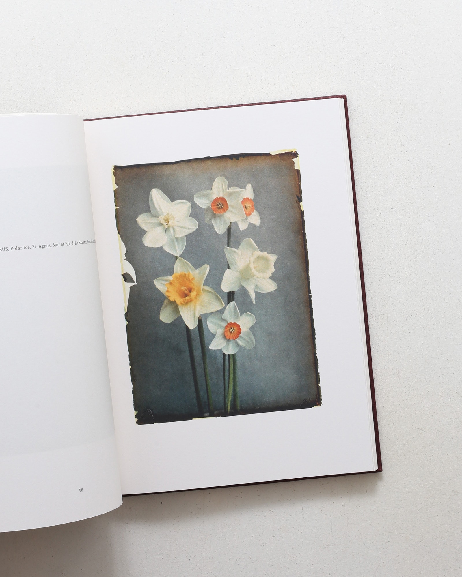 Leendert Blok: Silent Beauties