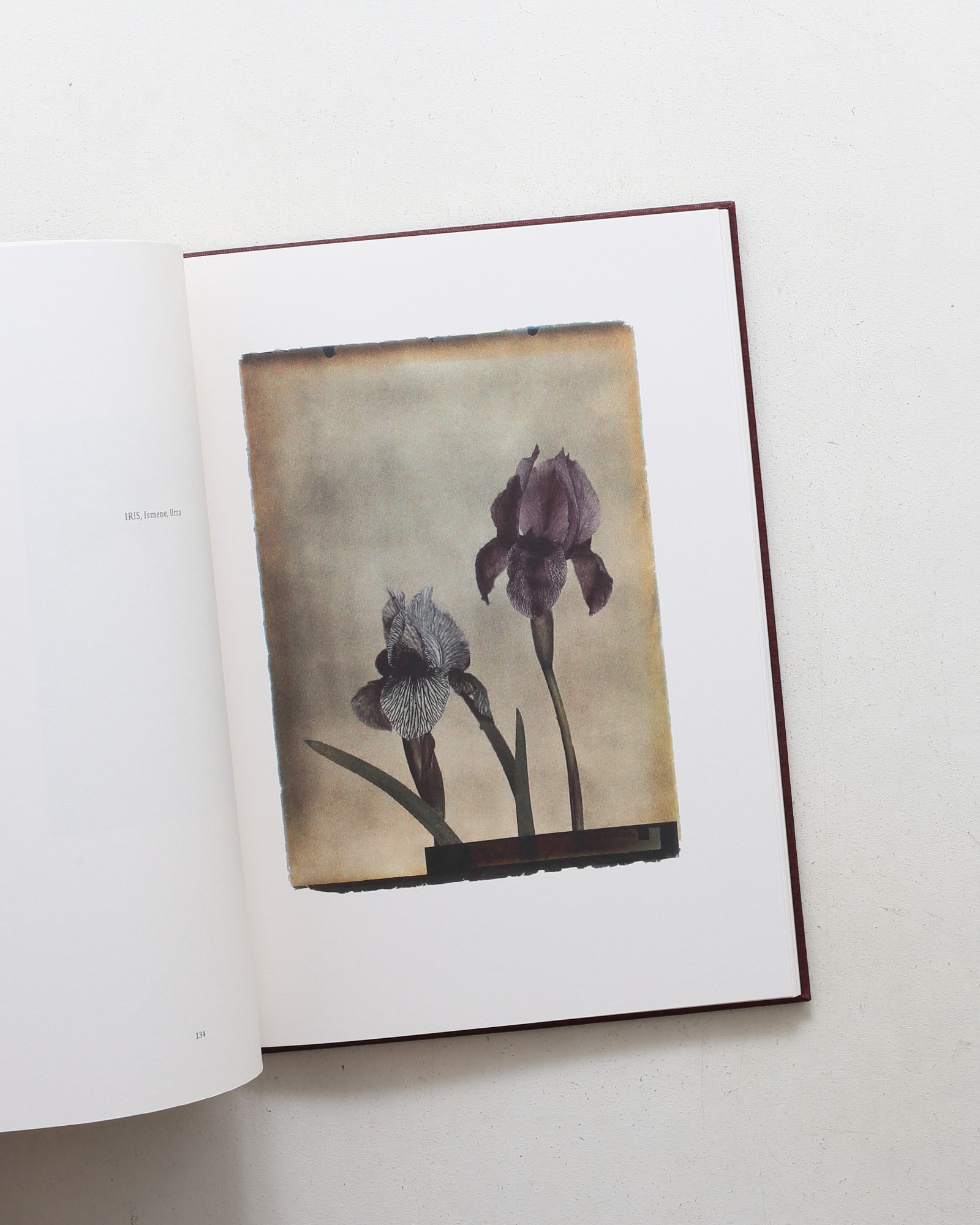 Leendert Blok: Silent Beauties
