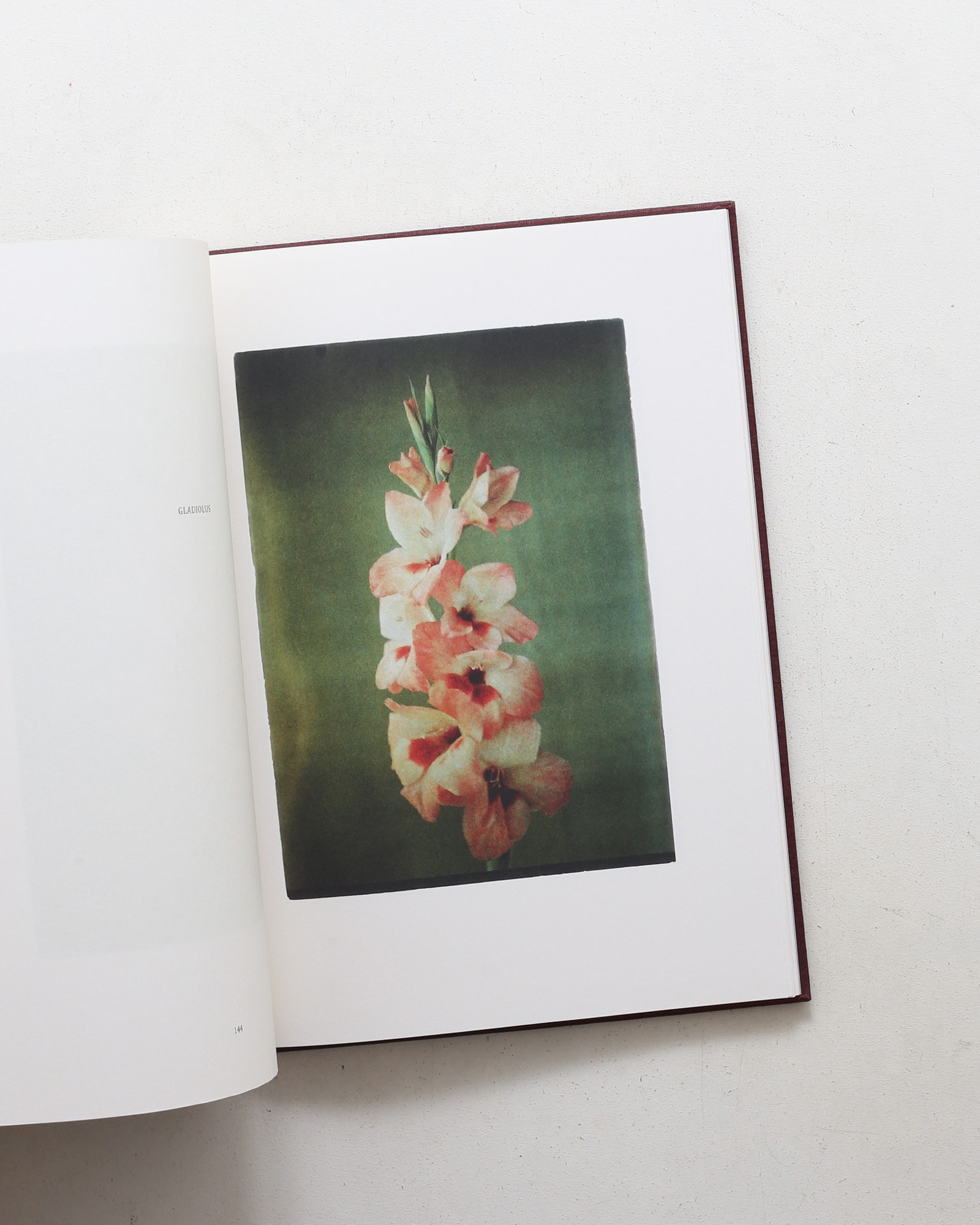 Leendert Blok: Silent Beauties