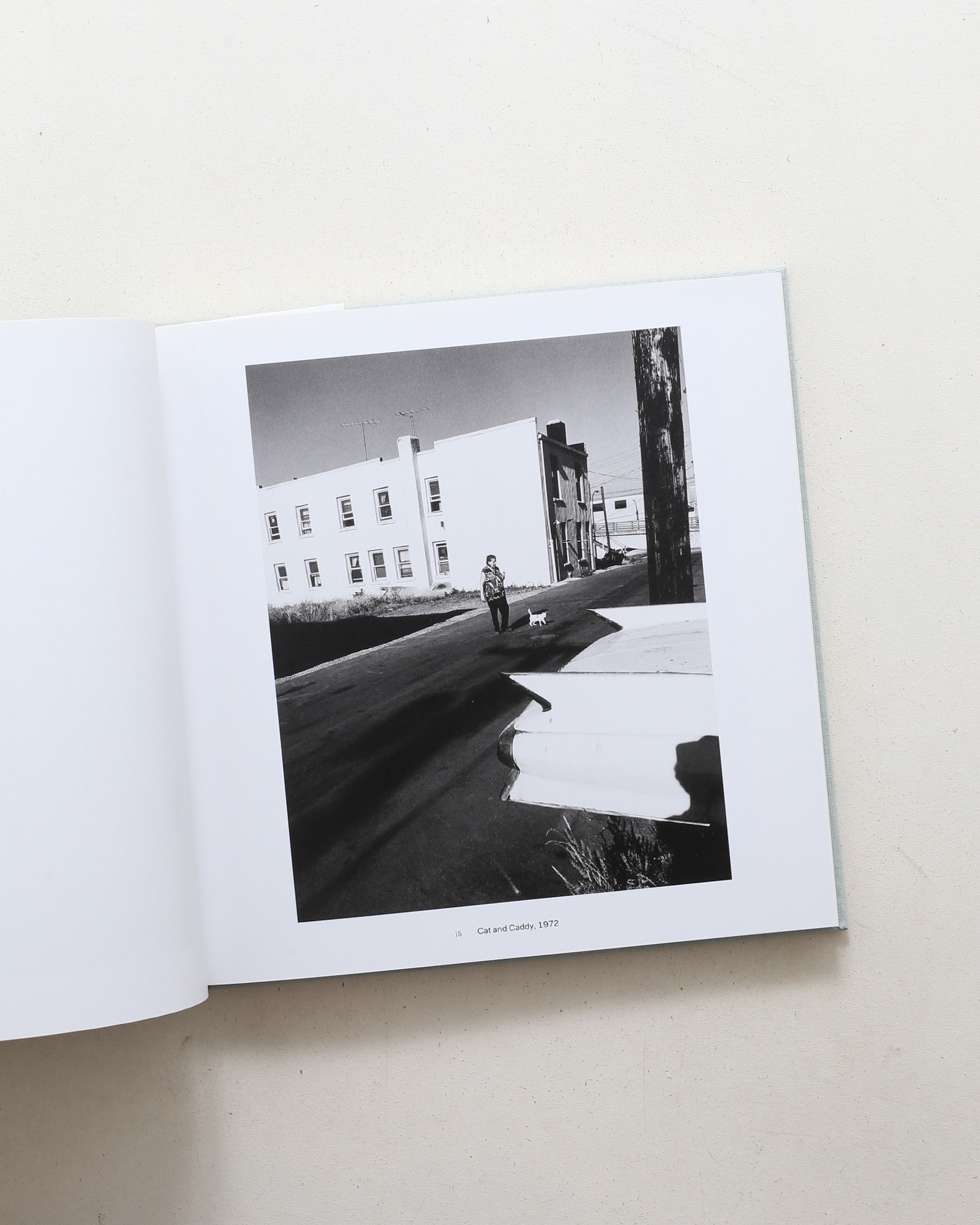 Fred Herzog: Black and White