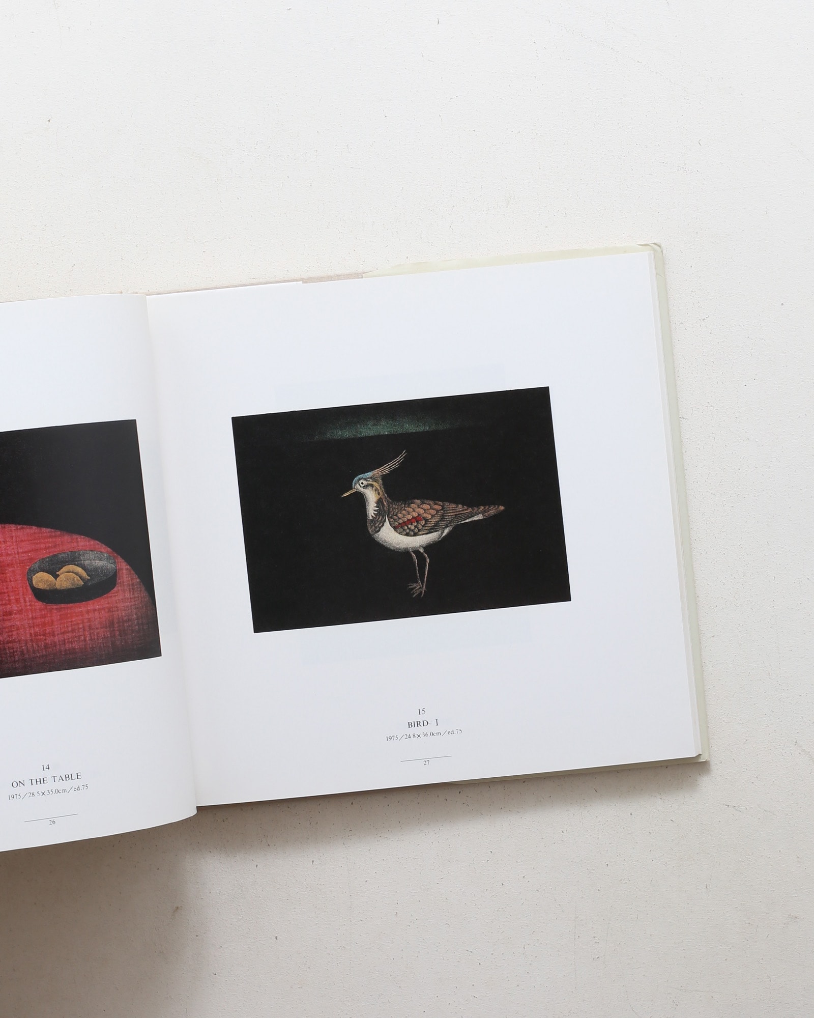 Tomoe Yokoi: Color Mexxotint Works | 横井巴
