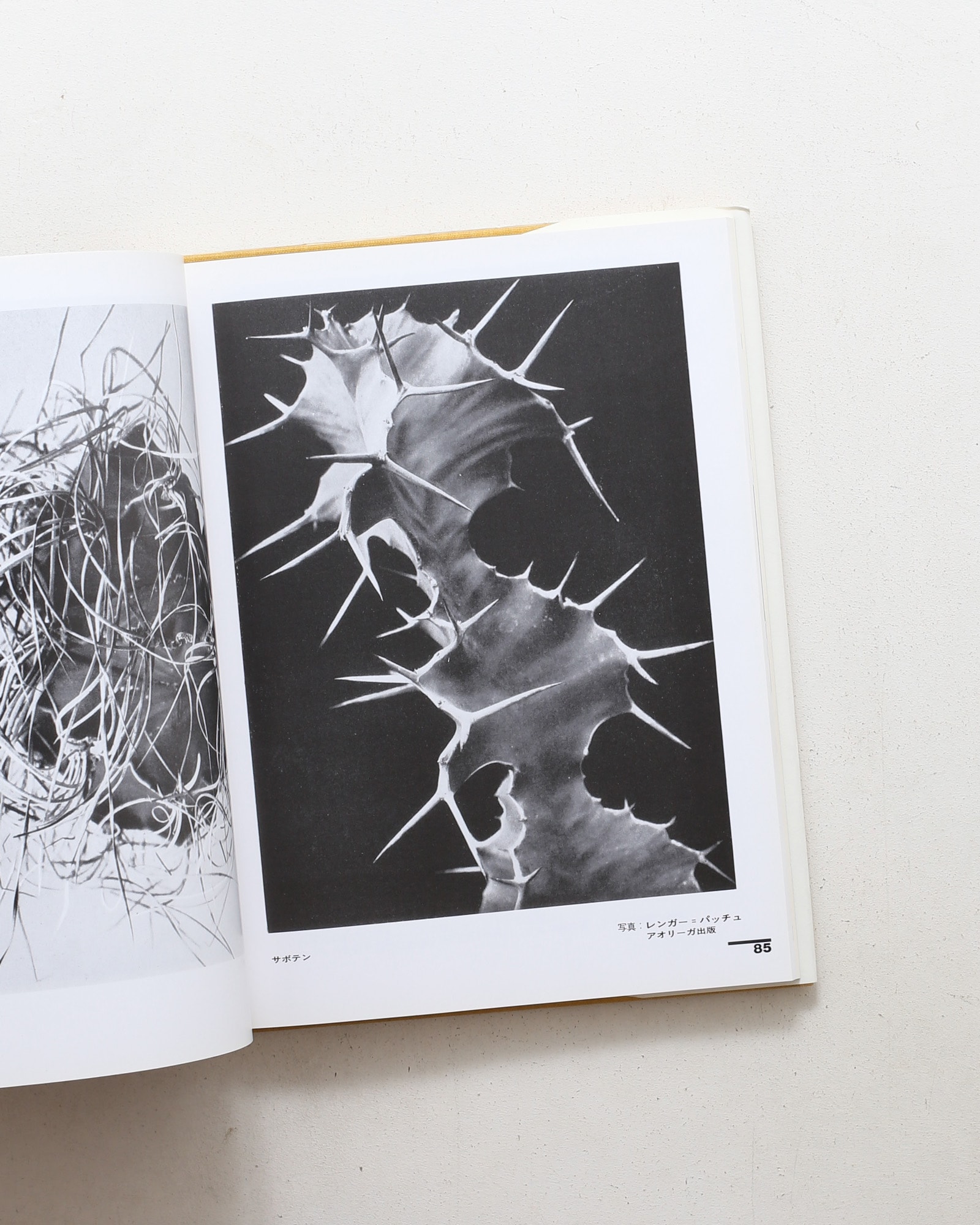 バウハウス叢書 モホリ＝ナギ 絵画・写真・映画