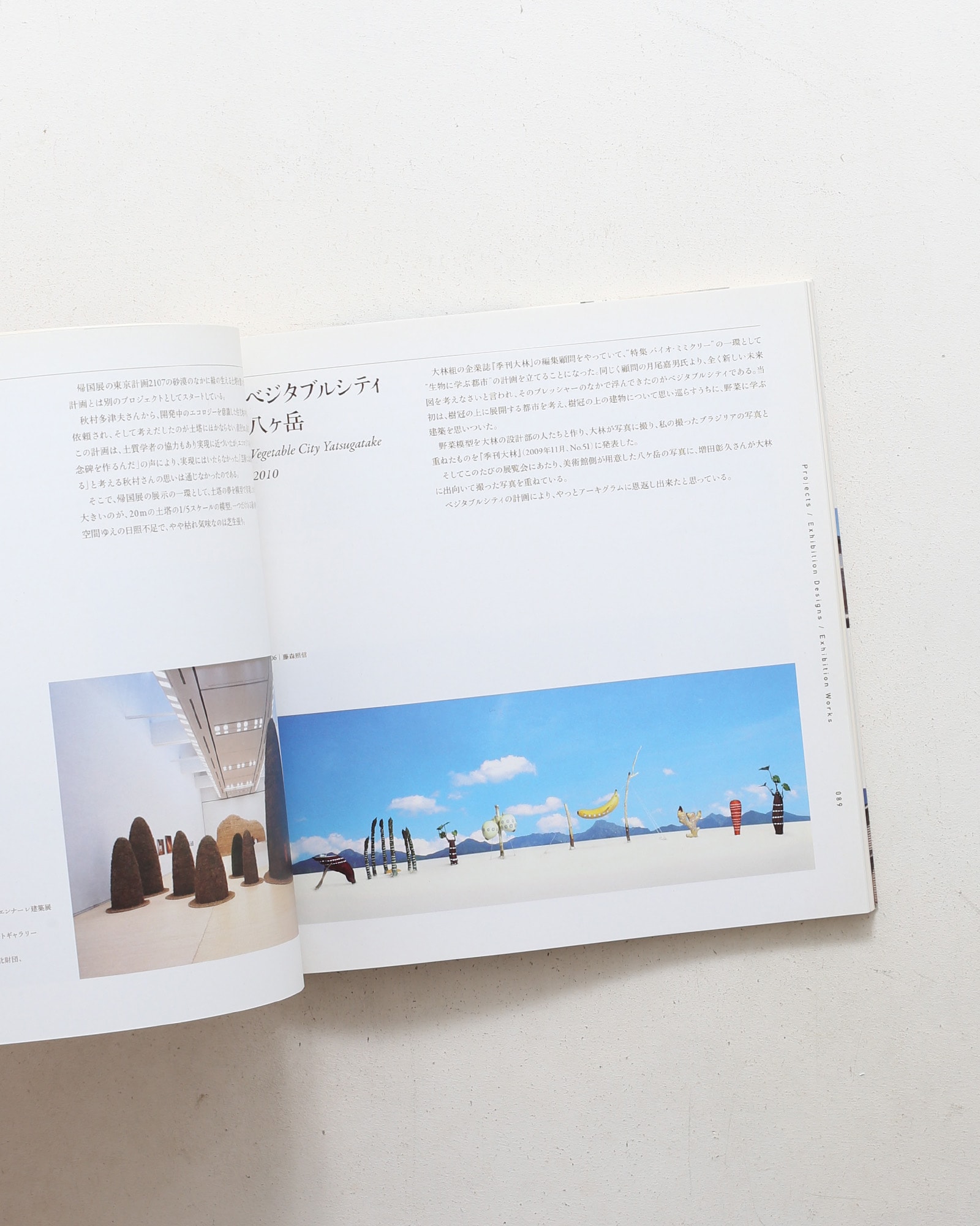藤森照信展 諏訪の記憶とフジモリ建築