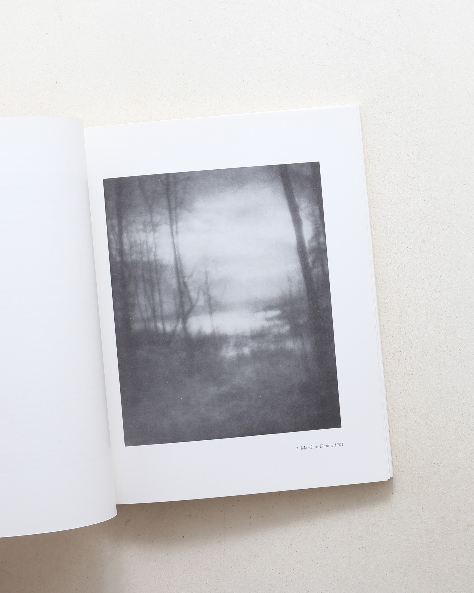 Imogen Cunningham: Photographs