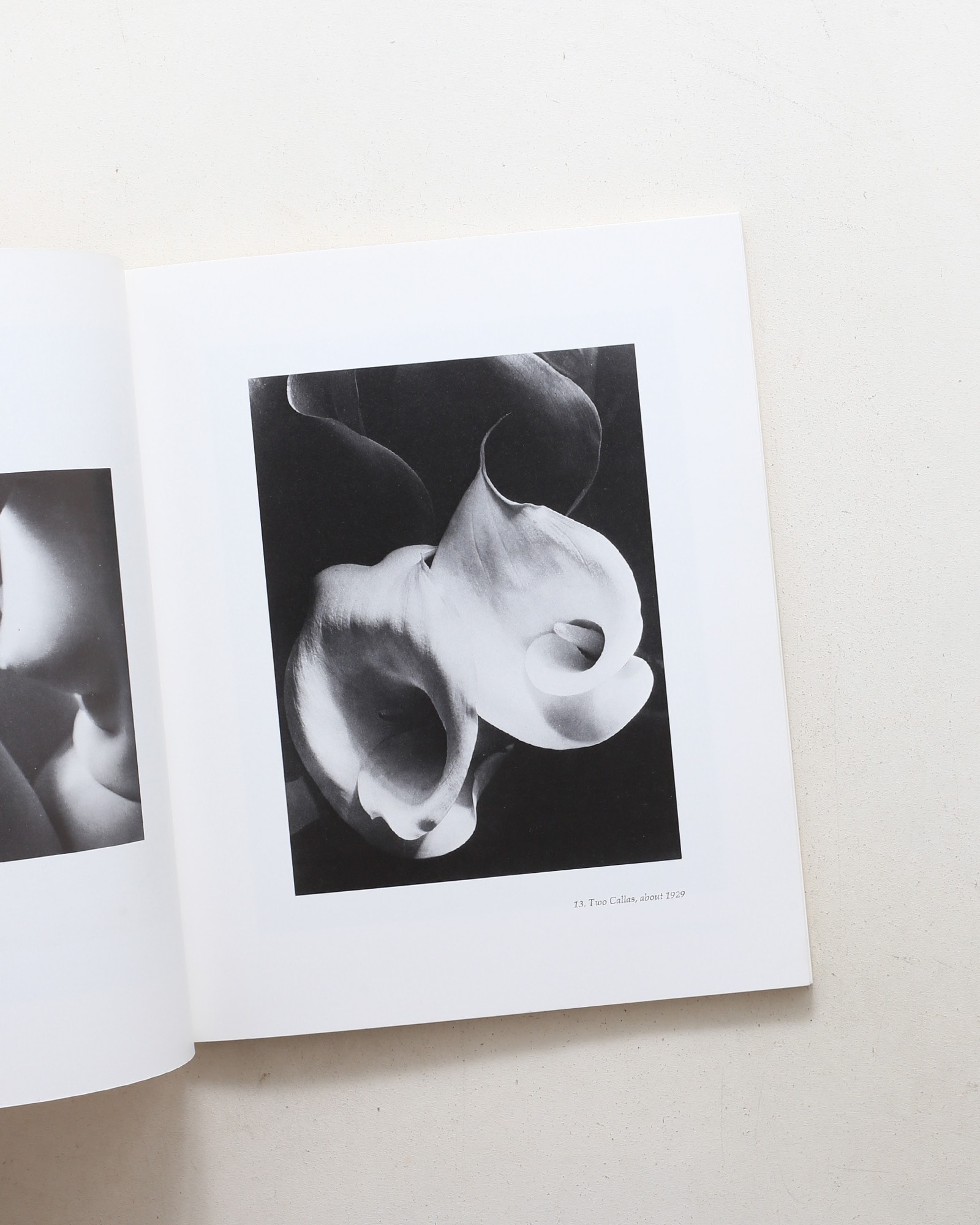 Imogen Cunningham: Photographs